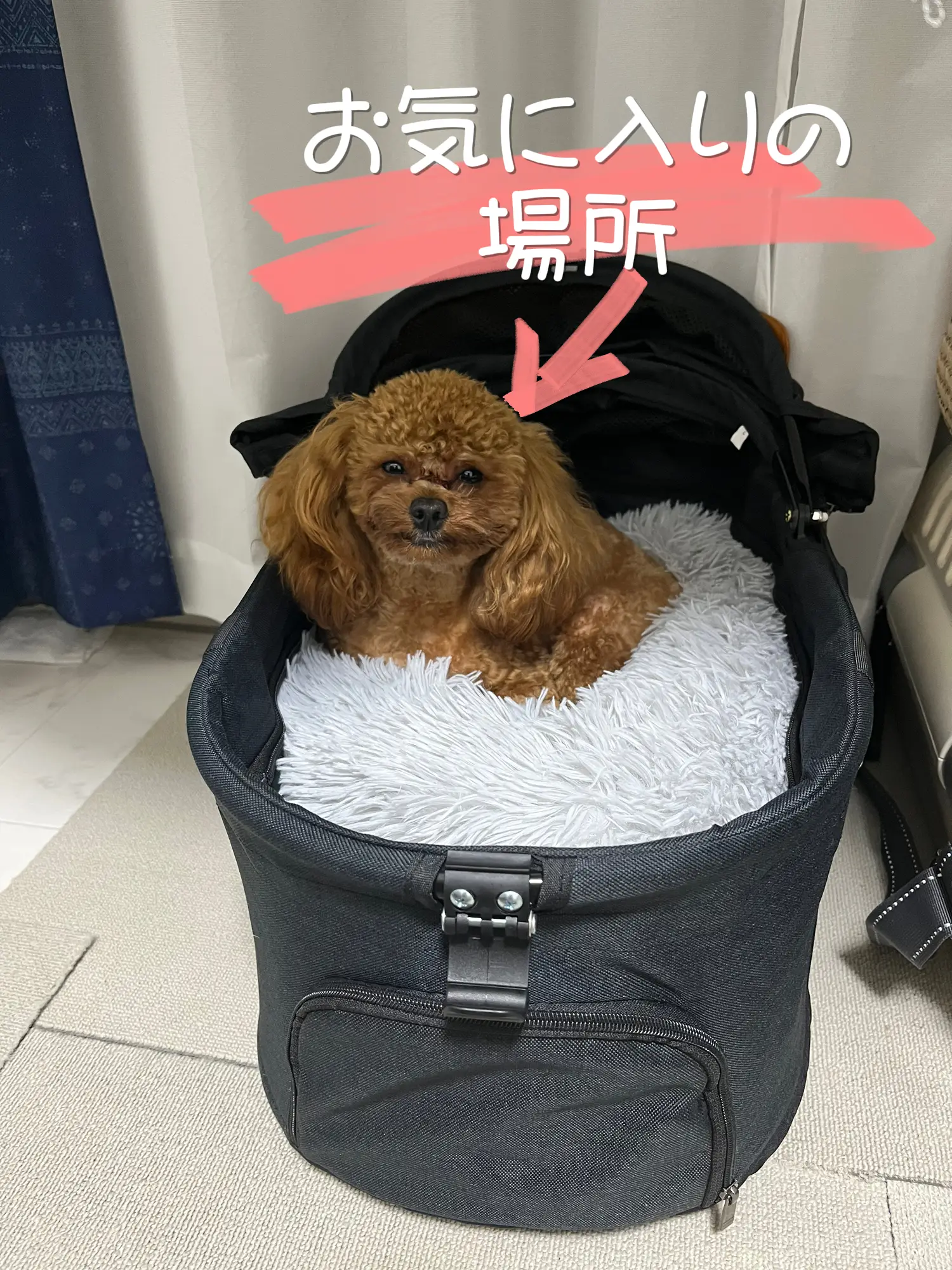 を安く販売 犬用HARRYS PETバギー用、保冷剤カバー付 - 犬用品