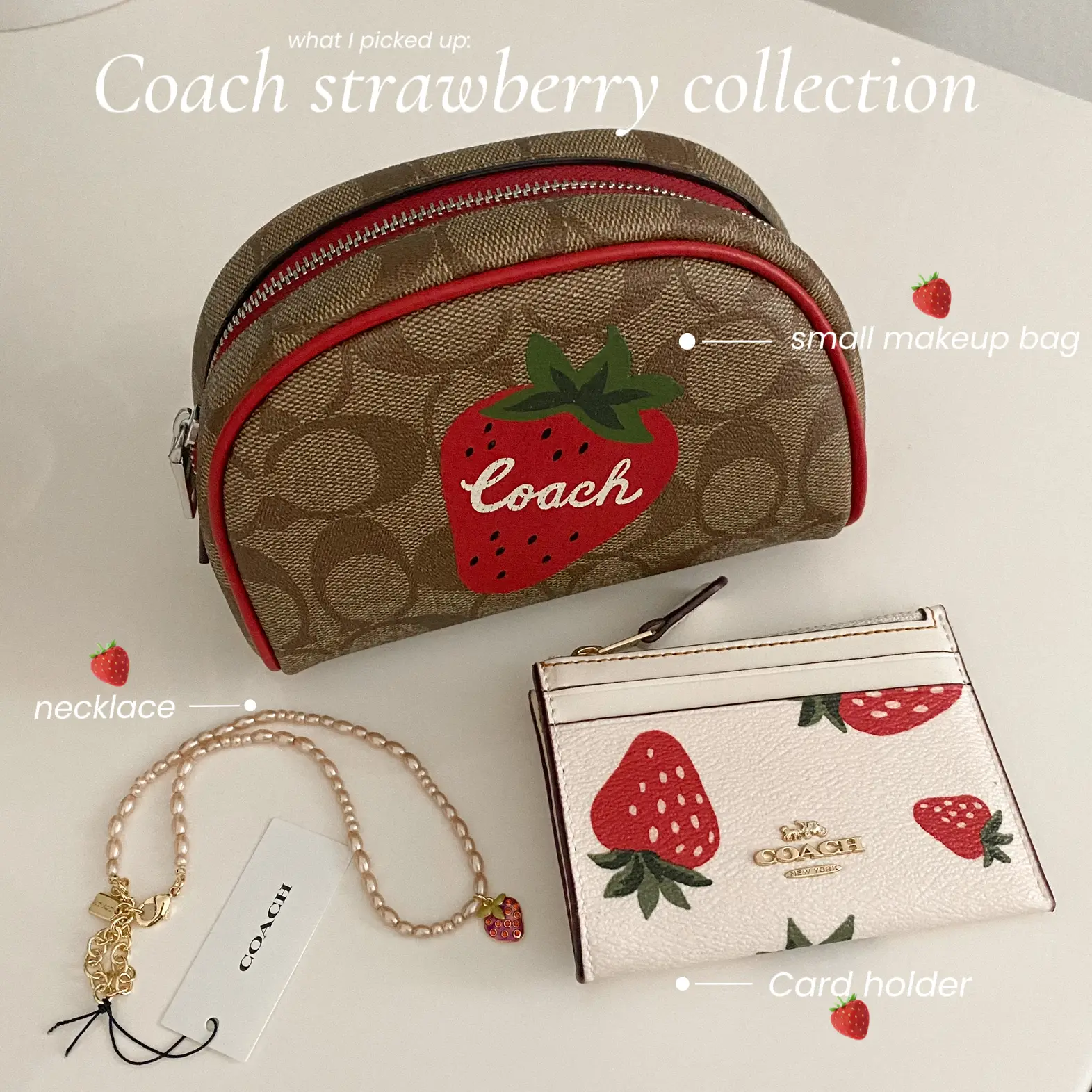 Coach sales strawberry bag