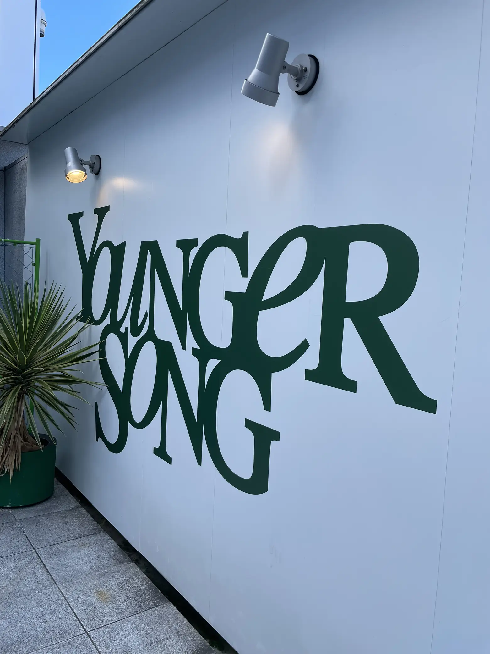 Younger Song Harajuku Store | Gallery posted by 須山 慶吾 | Lemon8
