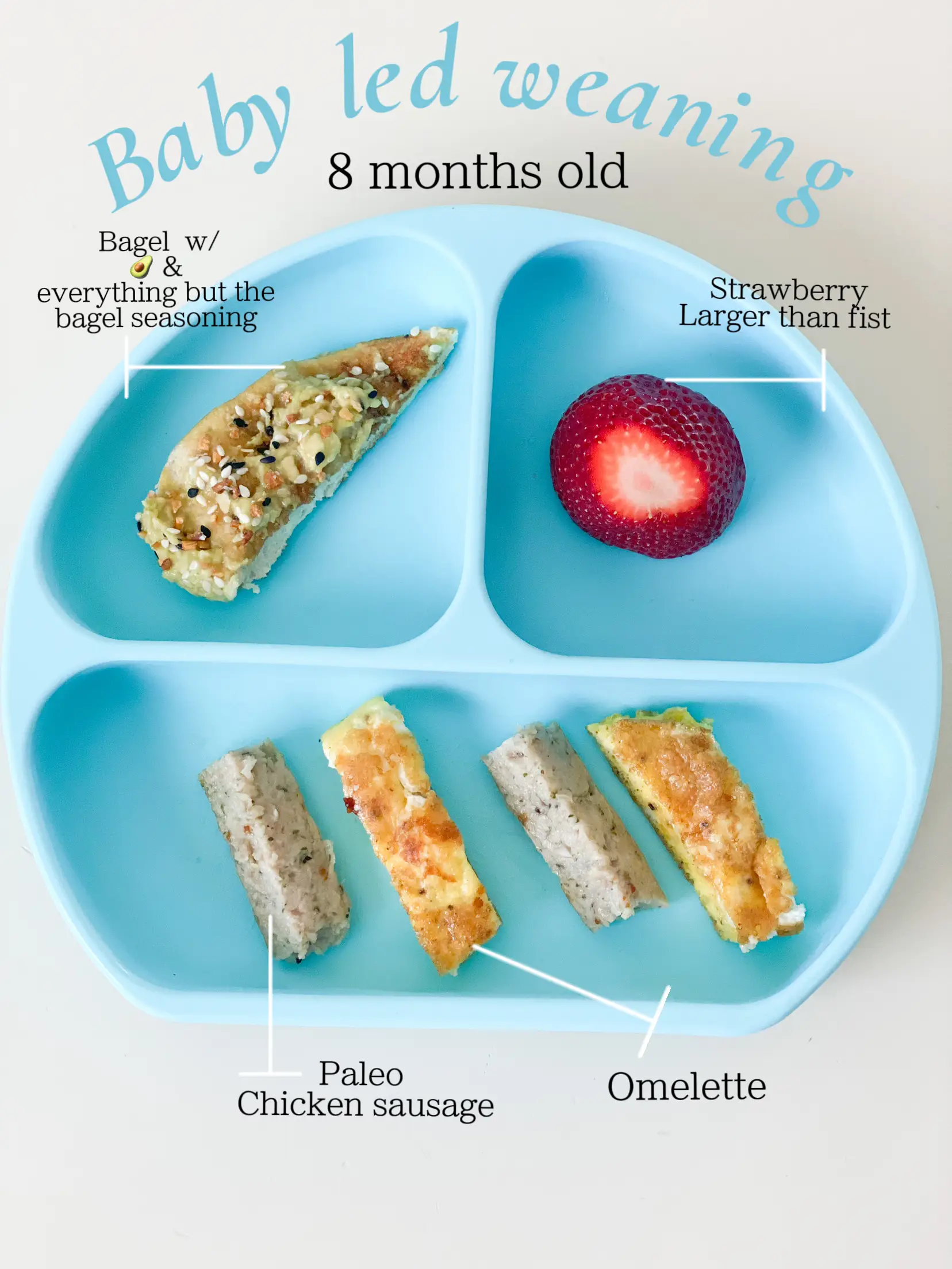 8 month best sale baby led weaning