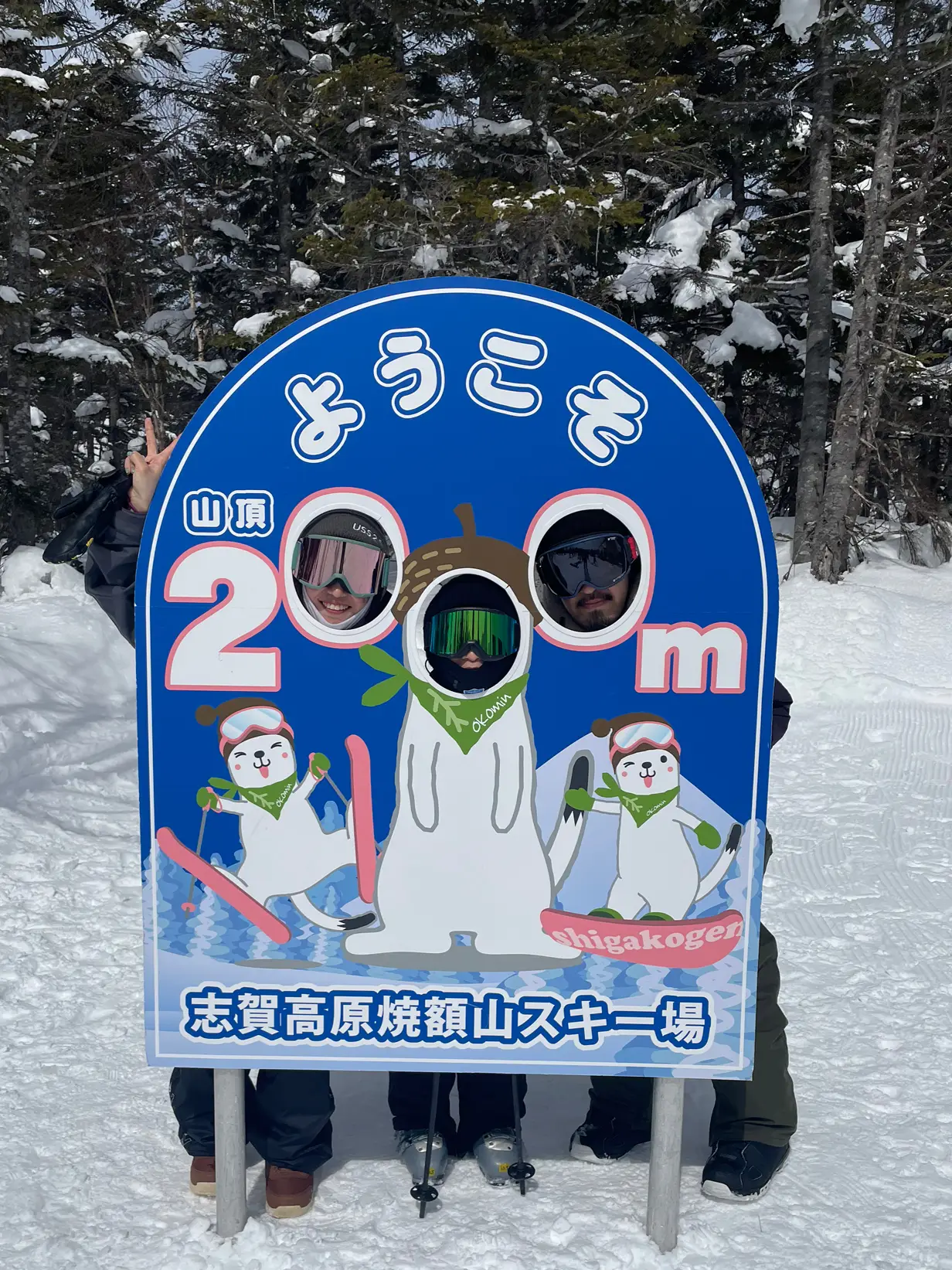 志賀高原 焼額山スキー場 リフト券x2 サニタス