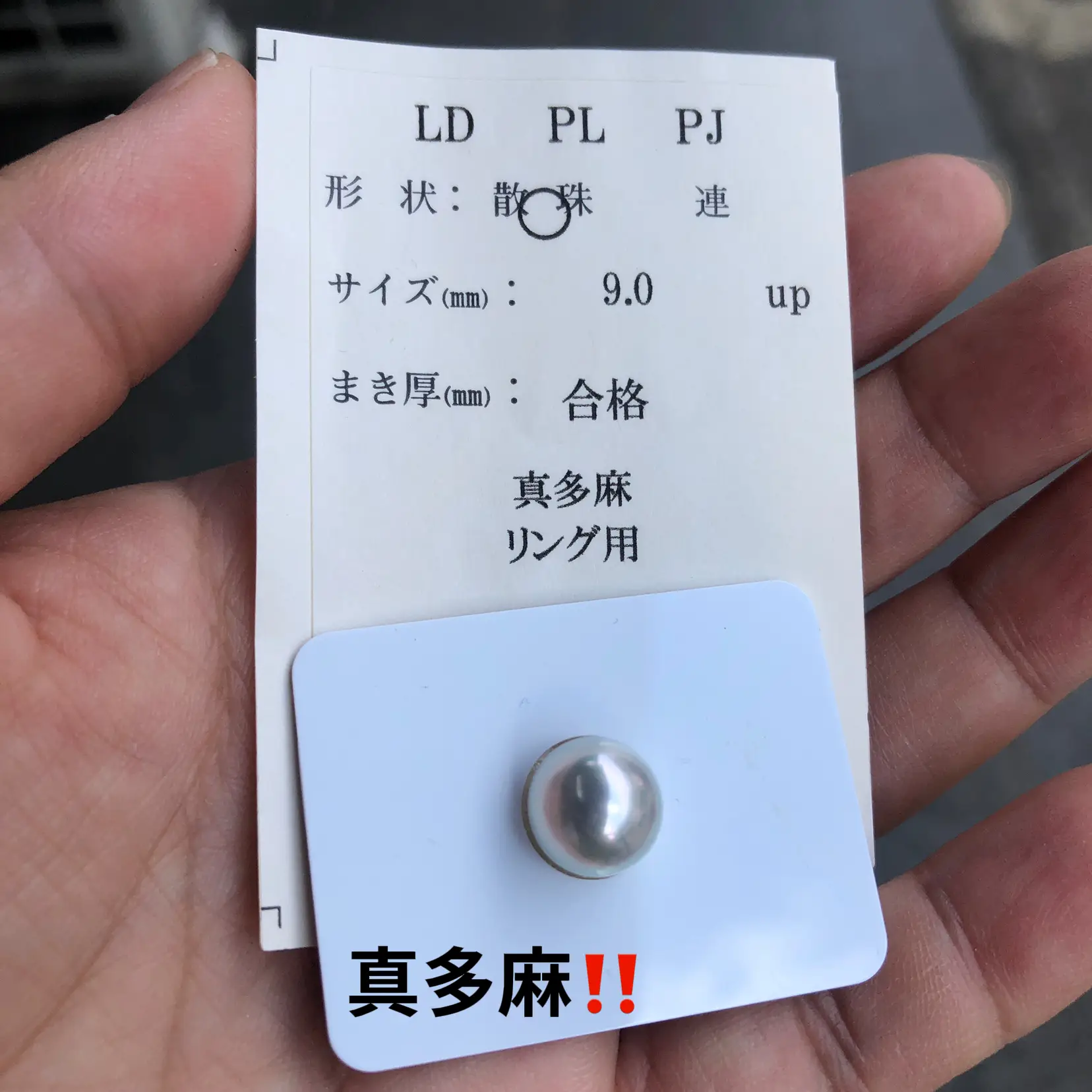 天然色のあこやパール！ | MEGUMIが投稿したフォトブック | Lemon8 