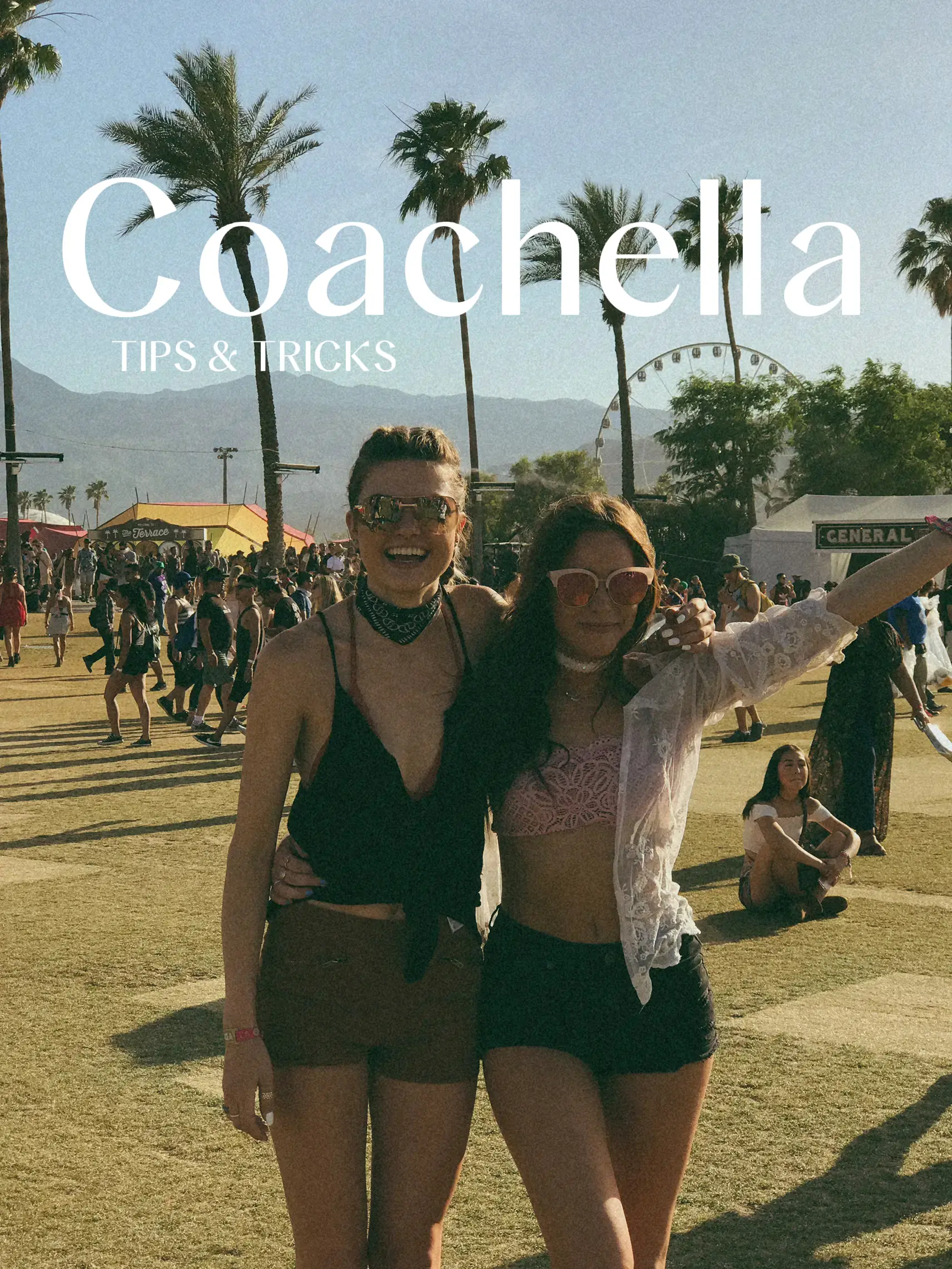 Things to Do in Indio During Coachella - Lemon8 Search