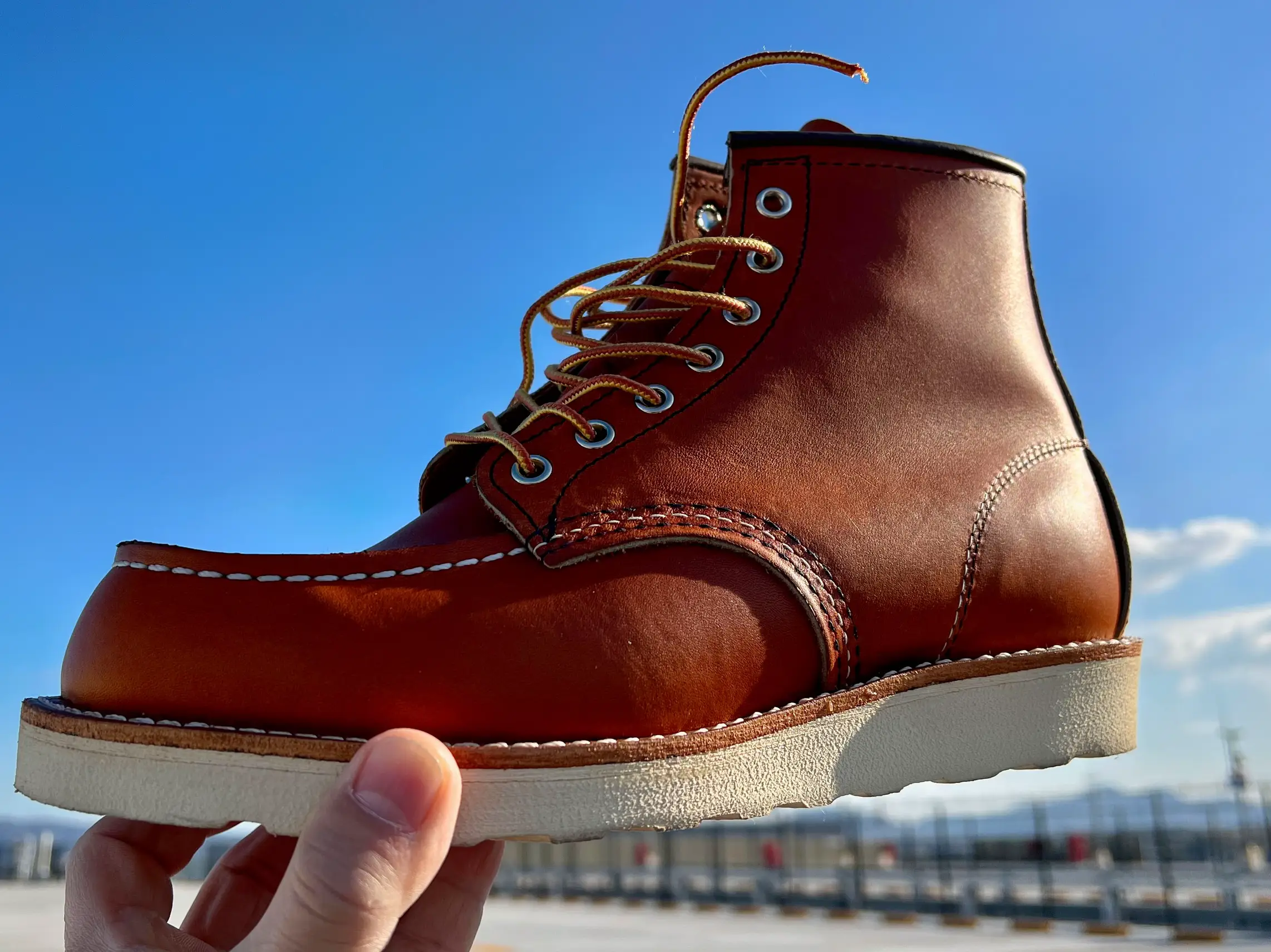 REDWING875 | satoshiが投稿したフォトブック | Lemon8