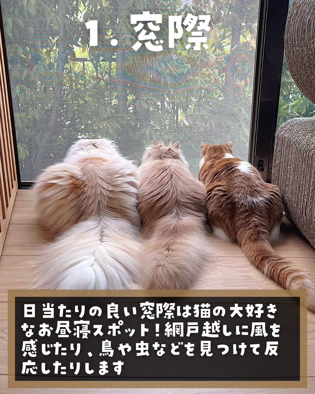 作家さんによるお茶目で可愛らしくとても雰囲気のある金運、良き人を