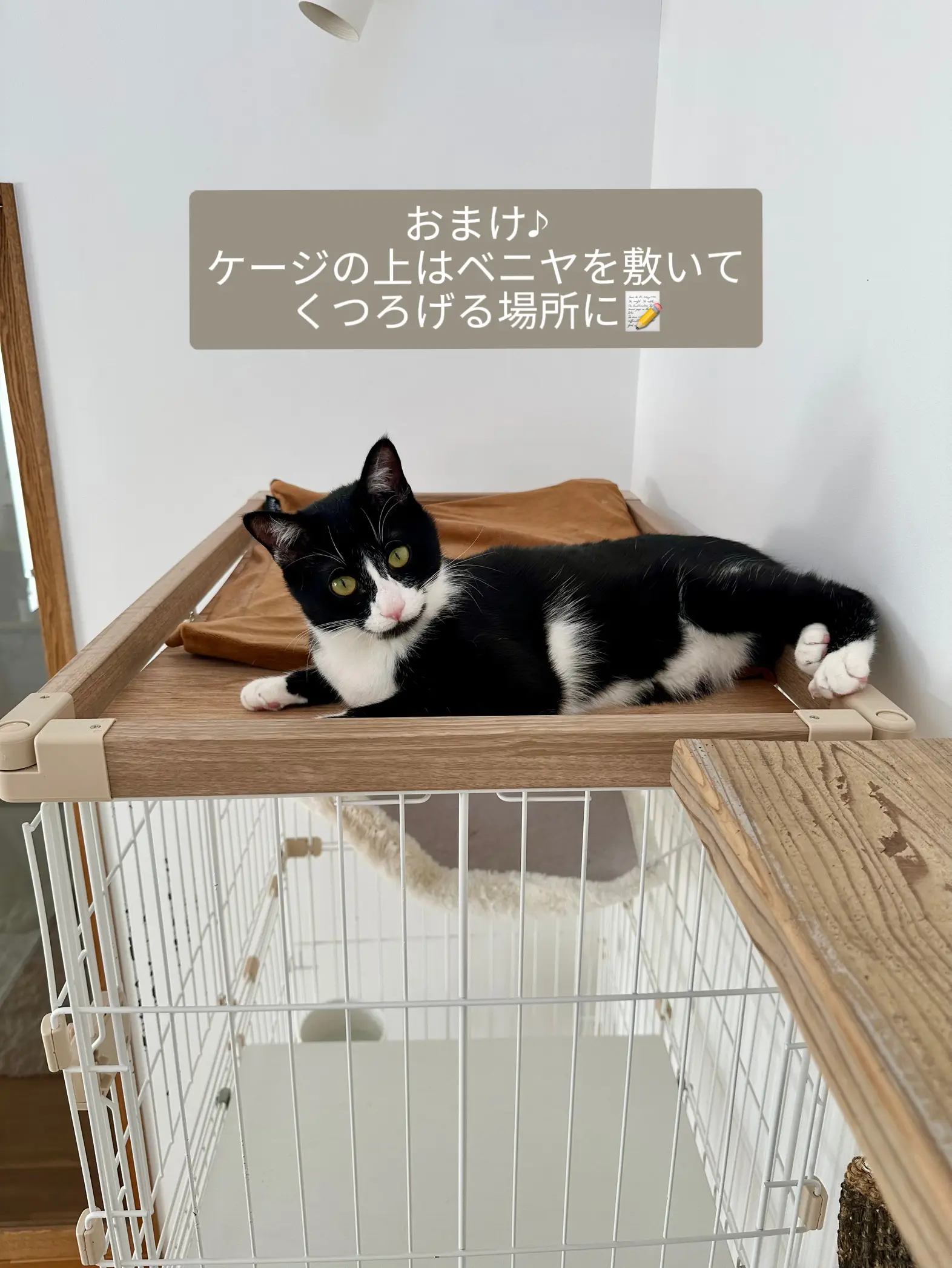 🏠インテリアに馴染む猫グッズ🐈‍⬛ | Kaneyukiが投稿したフォトブック