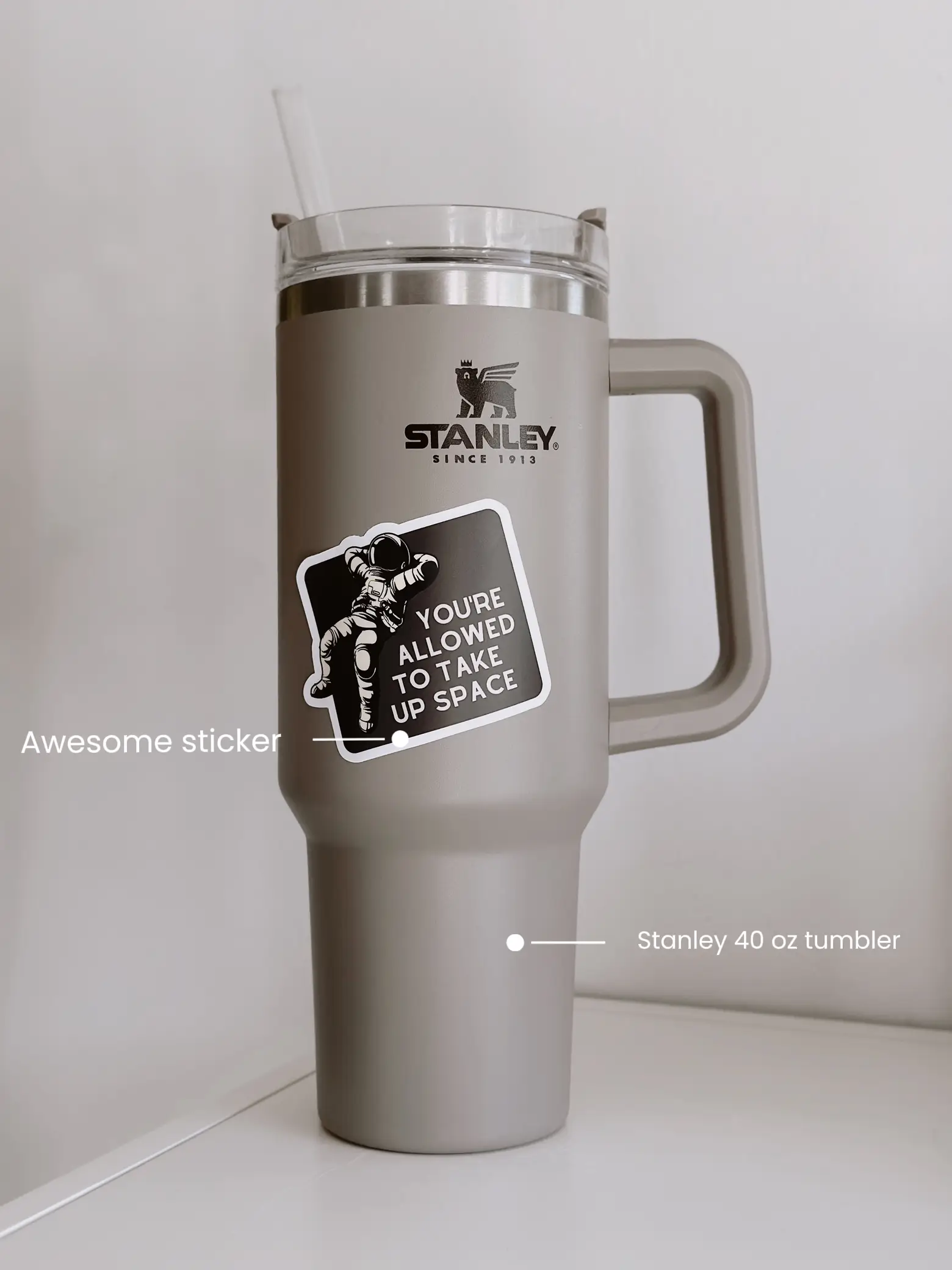 Make Life Easier With These $3 Stanley Tumbler Accessories