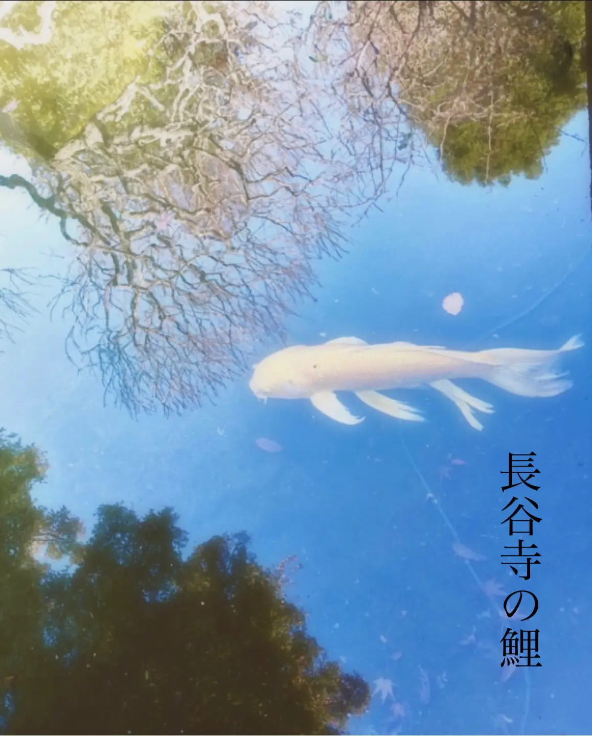 まりこのグラスアート ～こいのぼり～ まりこのグラスアート ～こいのぼり～ まりこのグラスアート