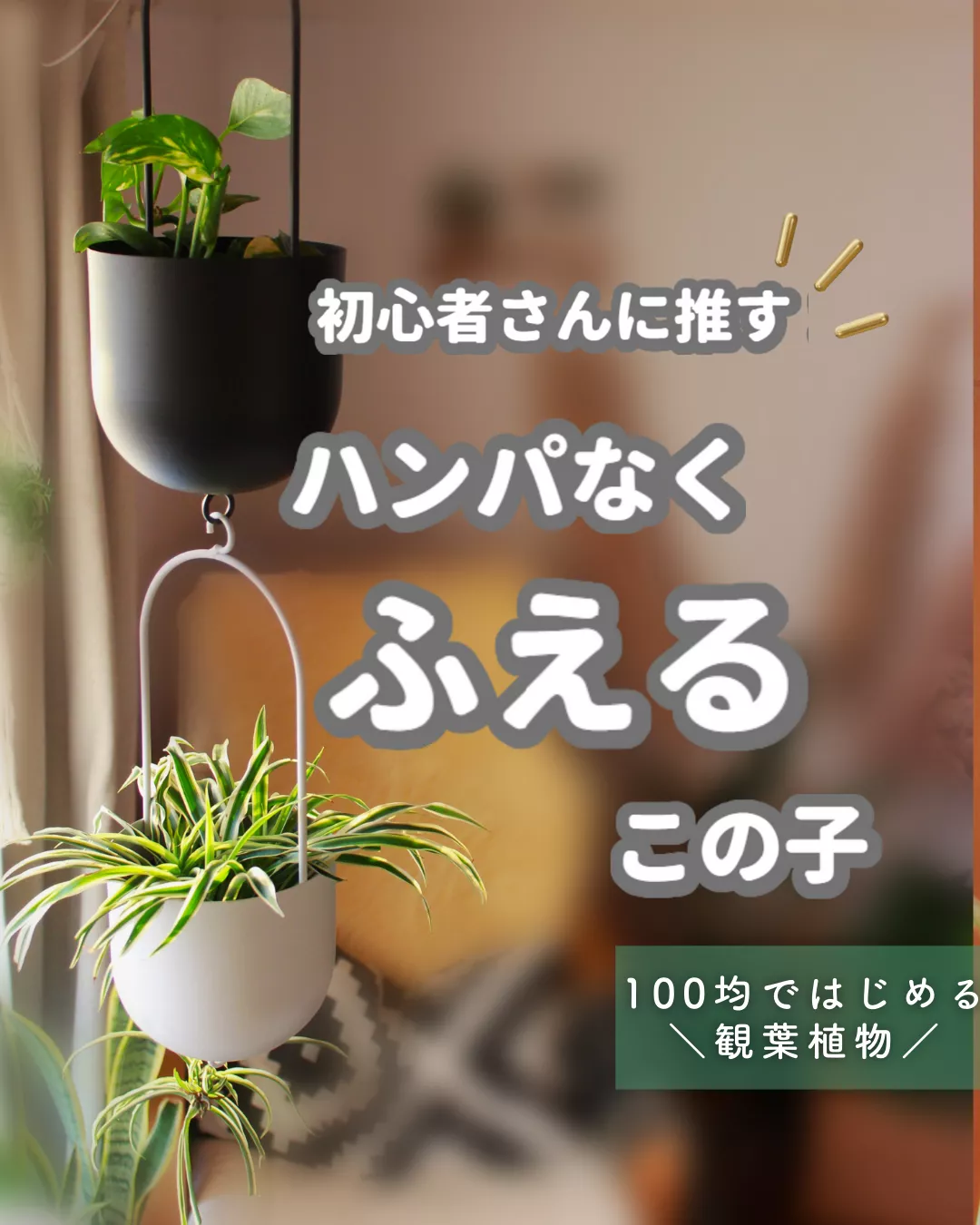 Diy 100均グッズ観葉植物おくだな - Lemon8検索