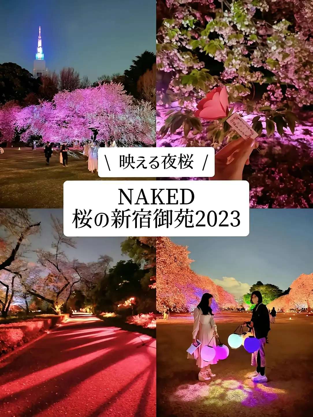 新宿】映える夜桜🌸NAKED桜の新宿御苑2023 | NAOMI |アート・建築巡り