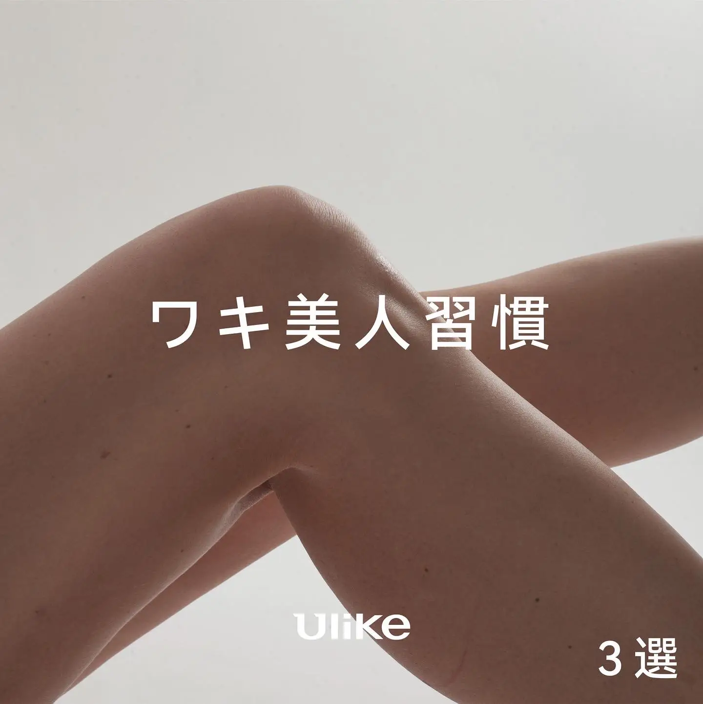 脇美人 