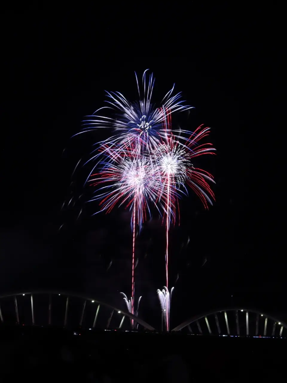 3年ぶりに開催 豊田おいでんまつり 花火大会🎇 | MARIが投稿したフォトブック | Lemon8