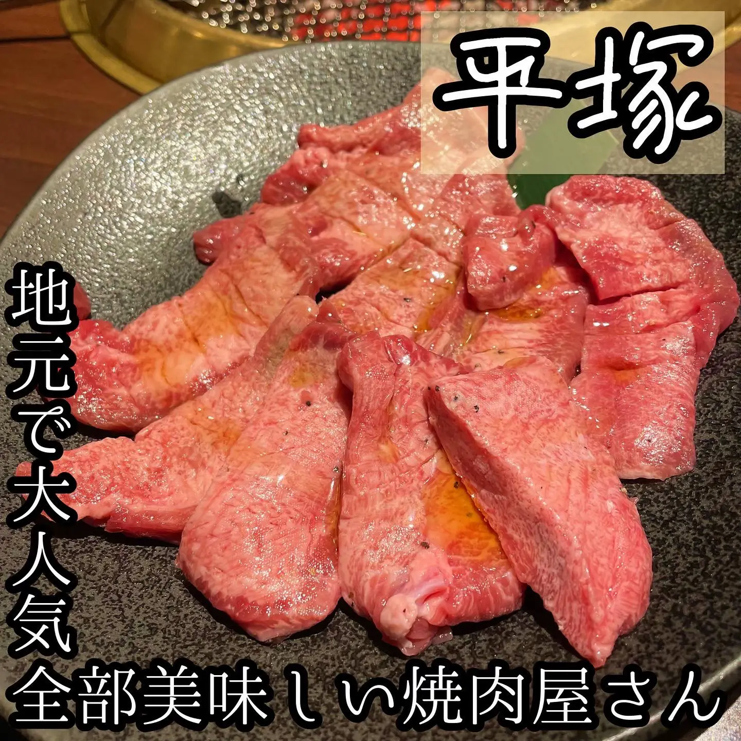 ふきのとう 巨大 肉厚 大量！大量！大特価！ラスト！-