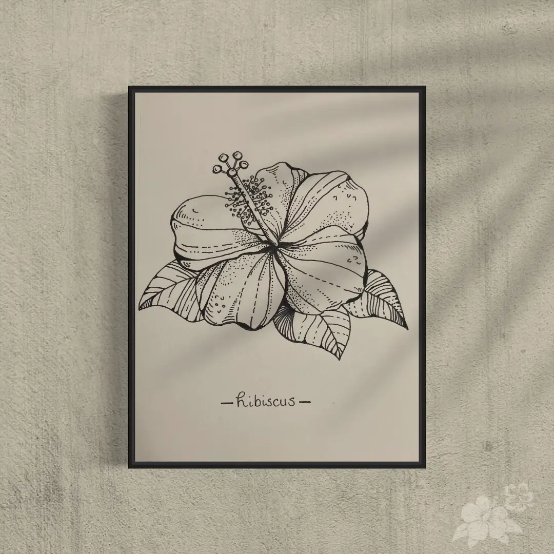 hibiscus flower pencil drawing