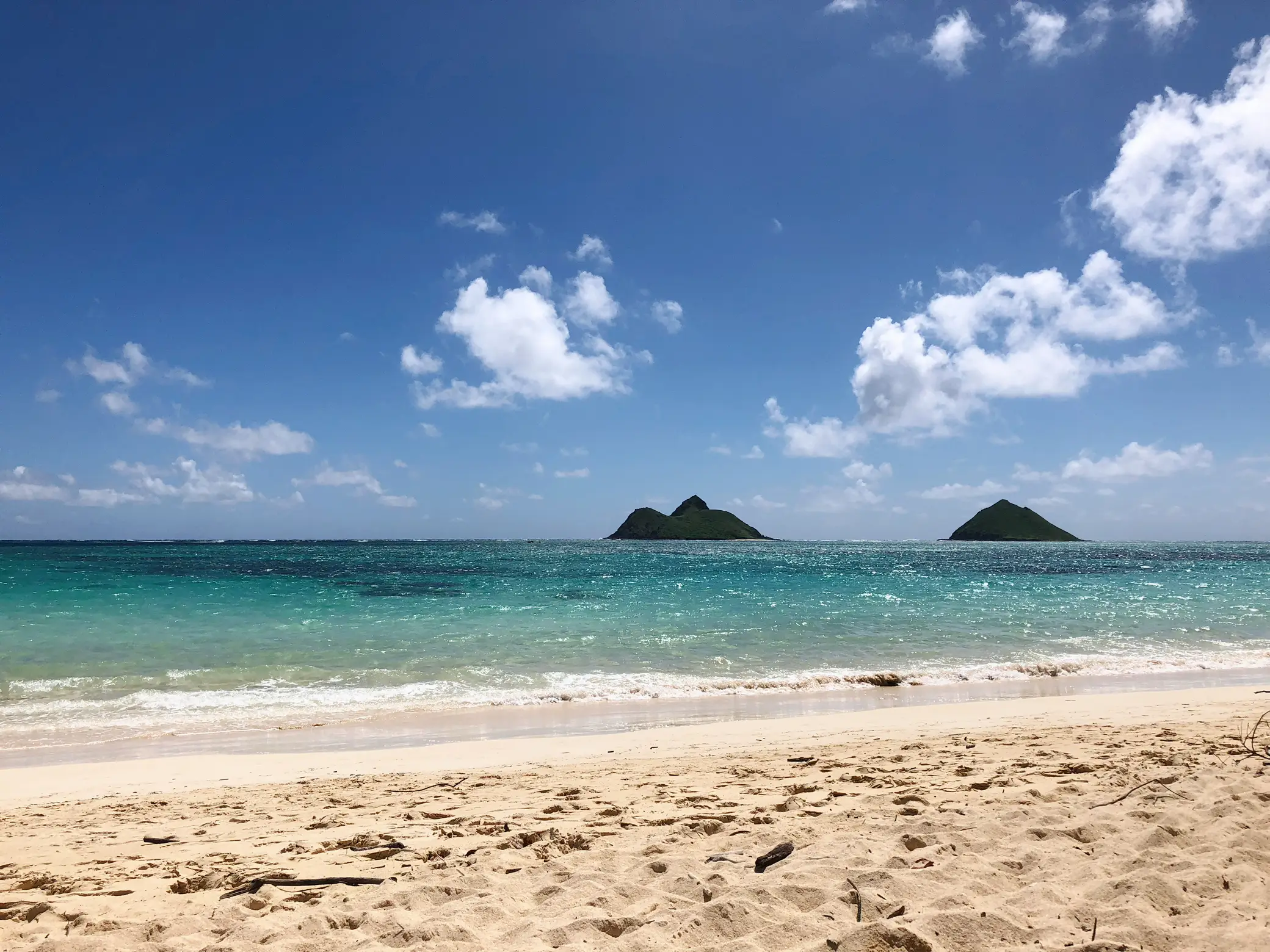 Moments in Oahu 🌺 แกลเลอรีที่โพสต์โดย LadyDianaWalker Lemon8