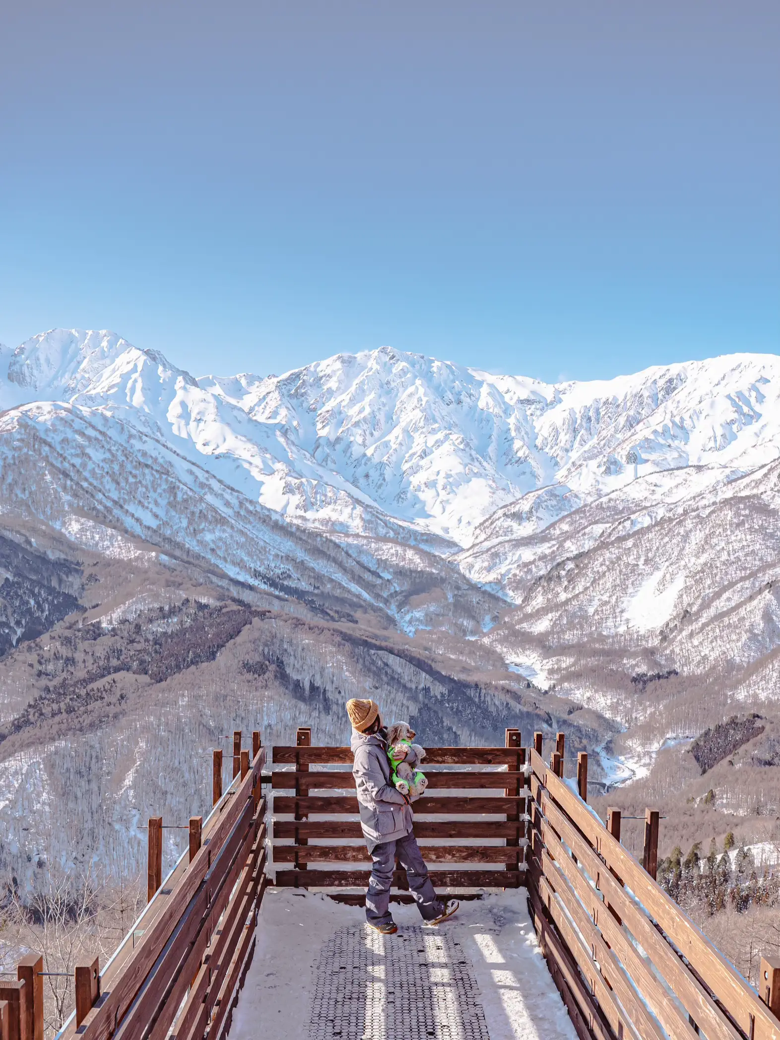 📍白馬岩岳スノーフィールド 🌐長野県   愛犬と楽しむ大絶景！ | sa.kk