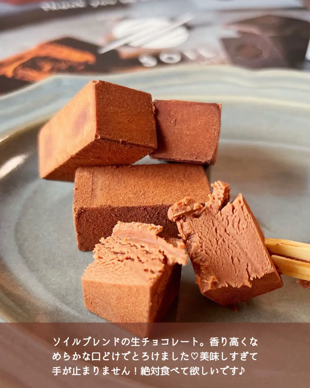 チョコ好きに贈るなら絶対コレ／ 絶品ソイルチョコレート🍫 | はまきり