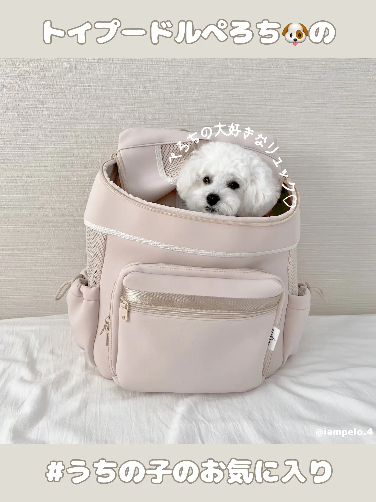 Dog Backpack - Lemon8検索