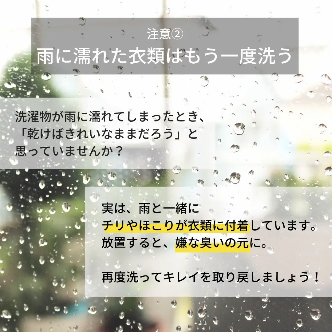 コレクション 雨で濡れた服 洗わないと