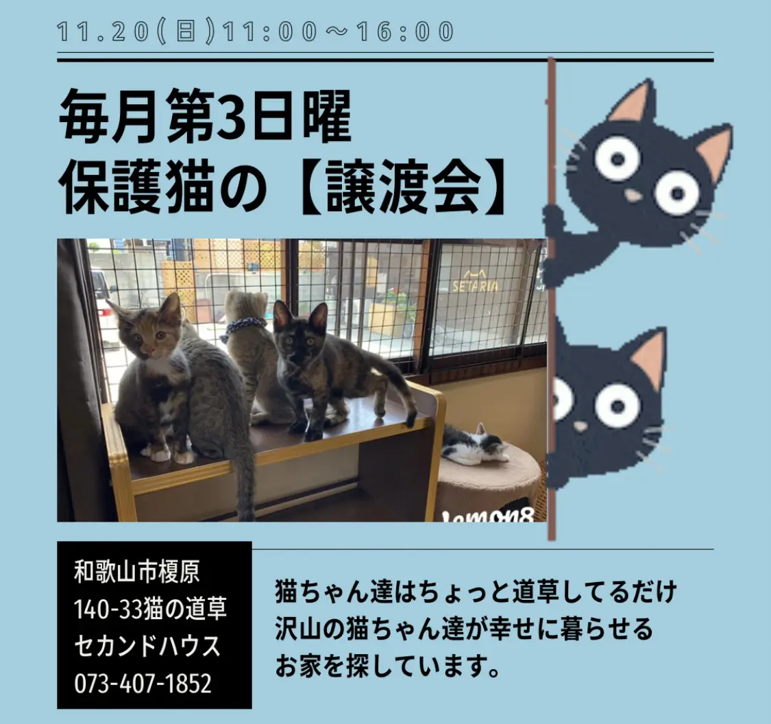 毎月第三日曜【譲渡会】開催😸😸 | 猫の道草が投稿したフォトブック