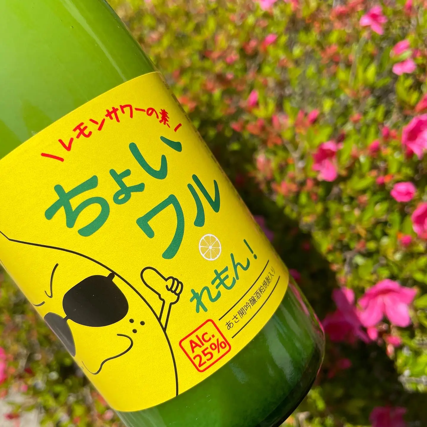 ちょいワルしよっ！🍋🕶✨ | 【公式】盛岡の酒蔵あさ開が投稿した