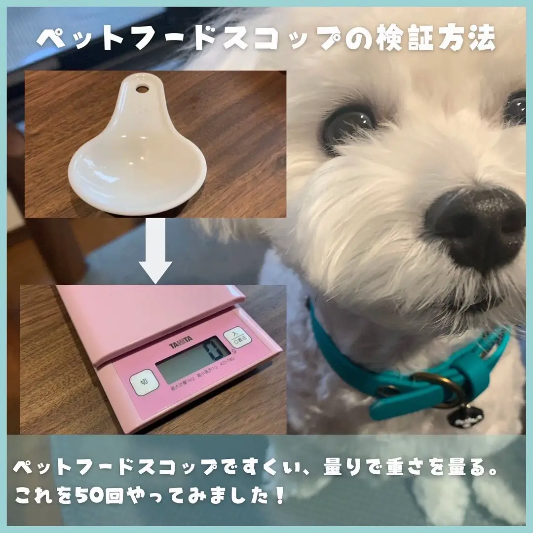 犬服確認用のページ⭕各サイズ作ってみました 【公式通販】