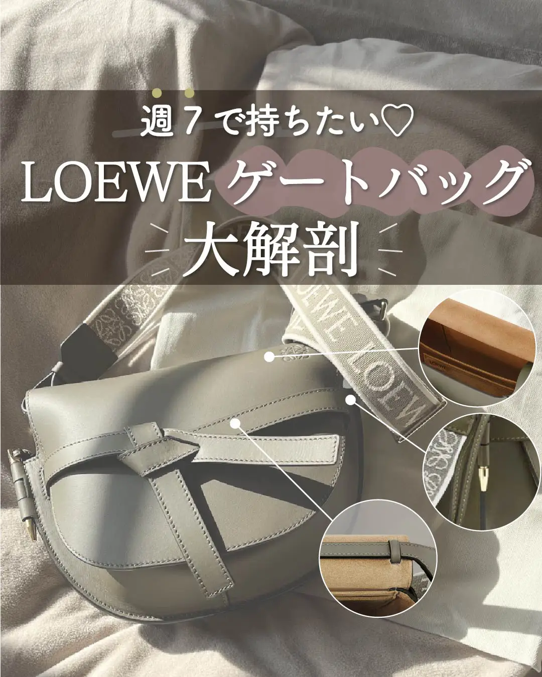 2024年のLoeweバッグ ゲート コーディネートのアイデア19選