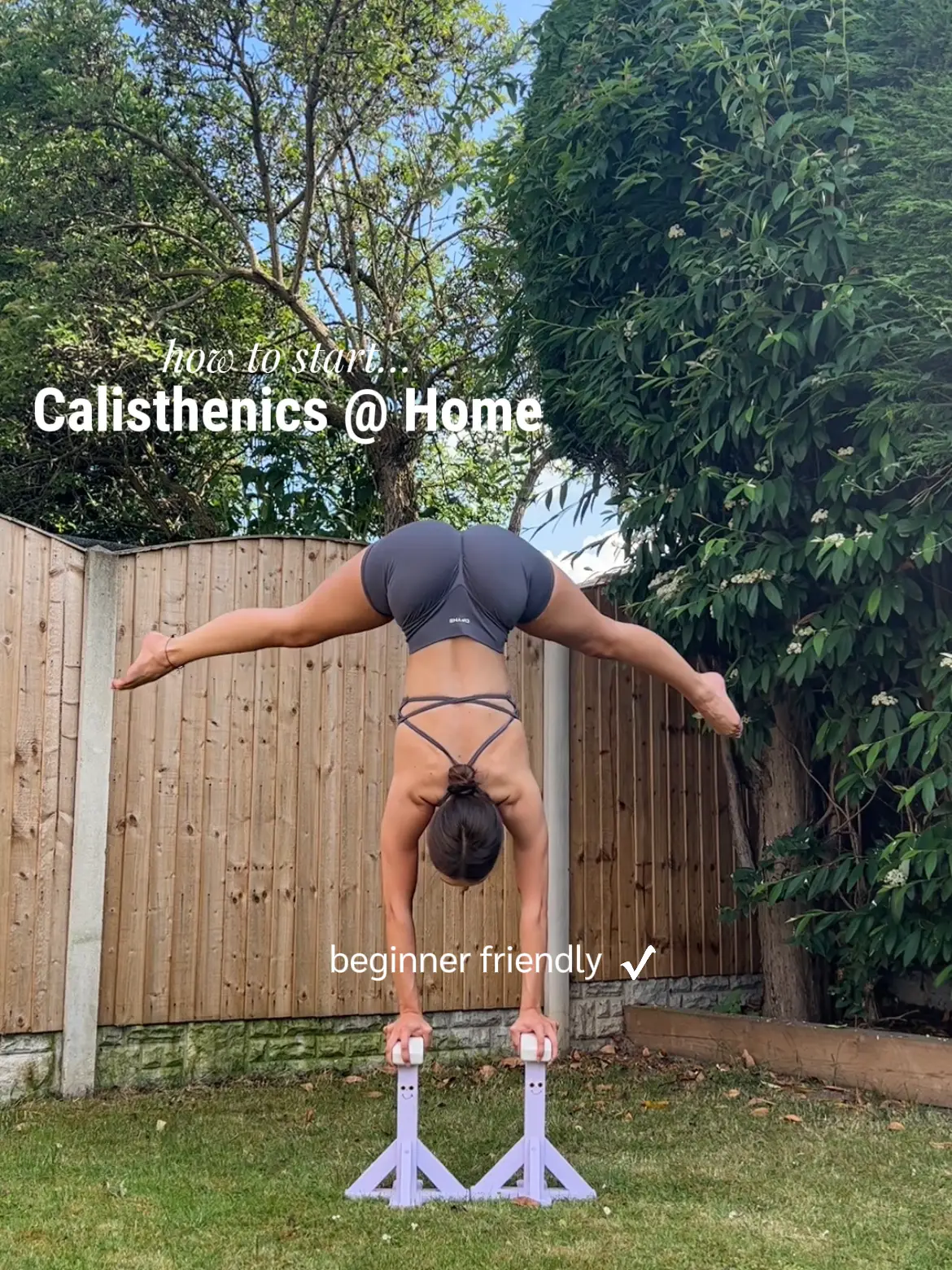 handstand on straight bar training : r/Calisthenic
