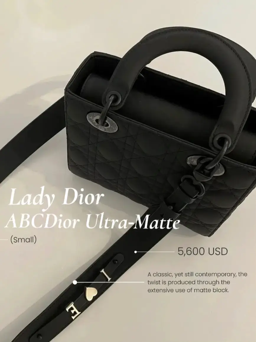 Lady Dior Pouch  THOROUGH Review 