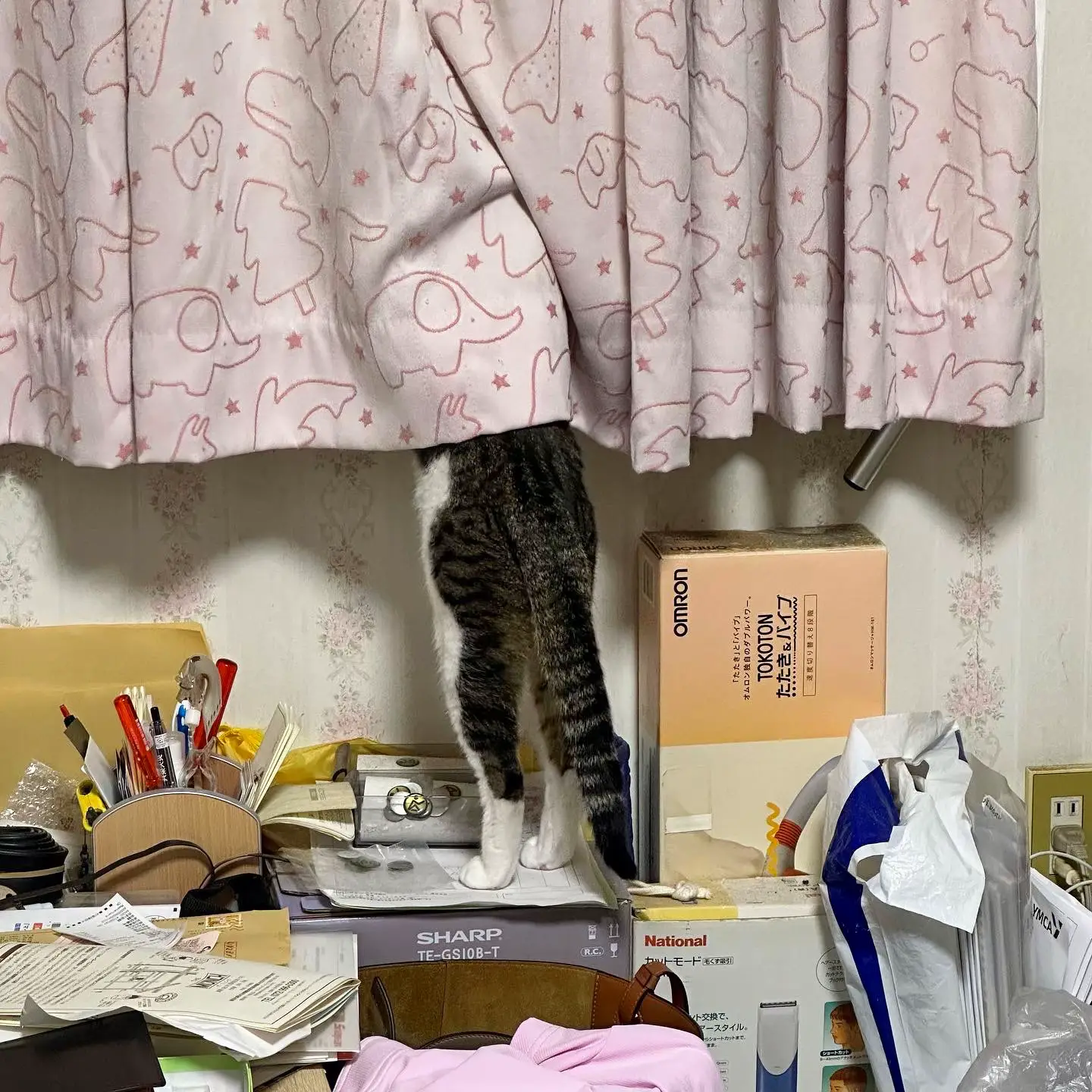 うんこ座り　バイブ 