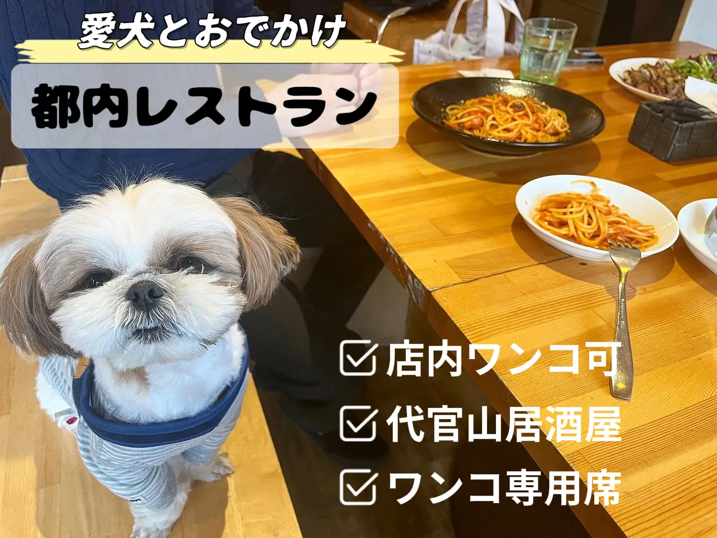 店内🐶OK！】わんこと一緒に昼飲みしちゃお🍻 | Galeri disiarkan oleh