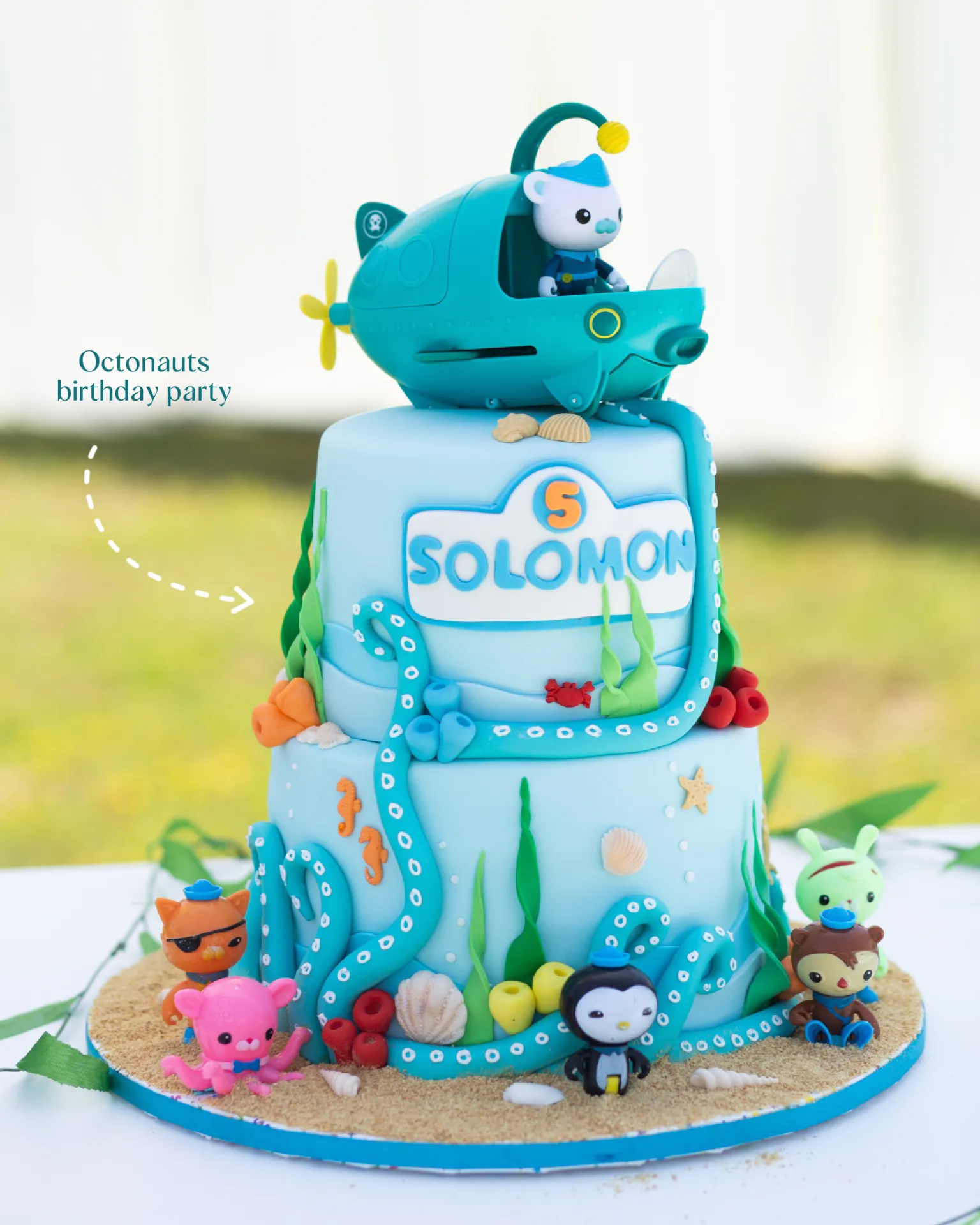 Octonauts Stuffed Animals, Octonauts Birthday Party