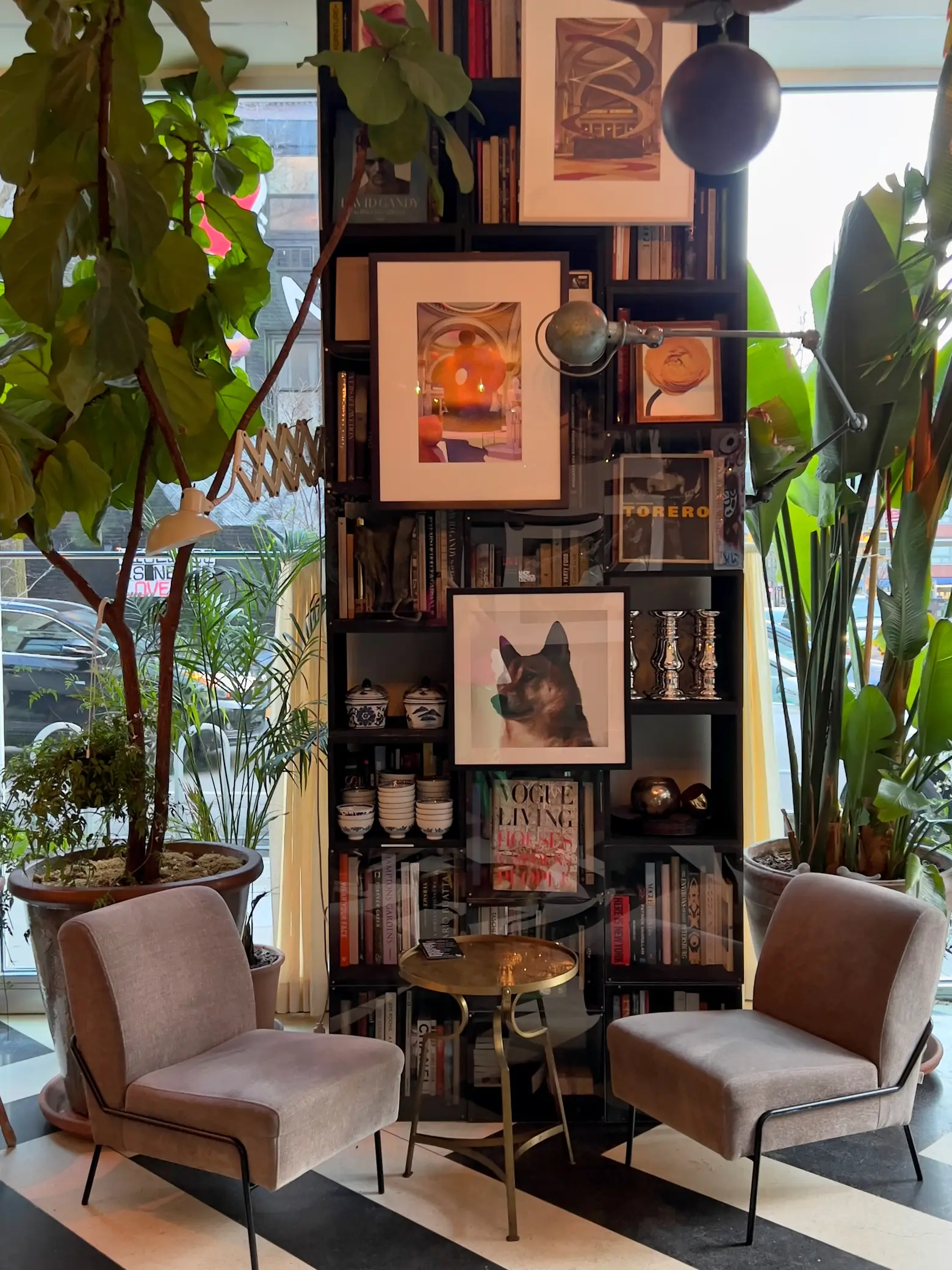  A bookshelf with books and a picture of a dog on it.