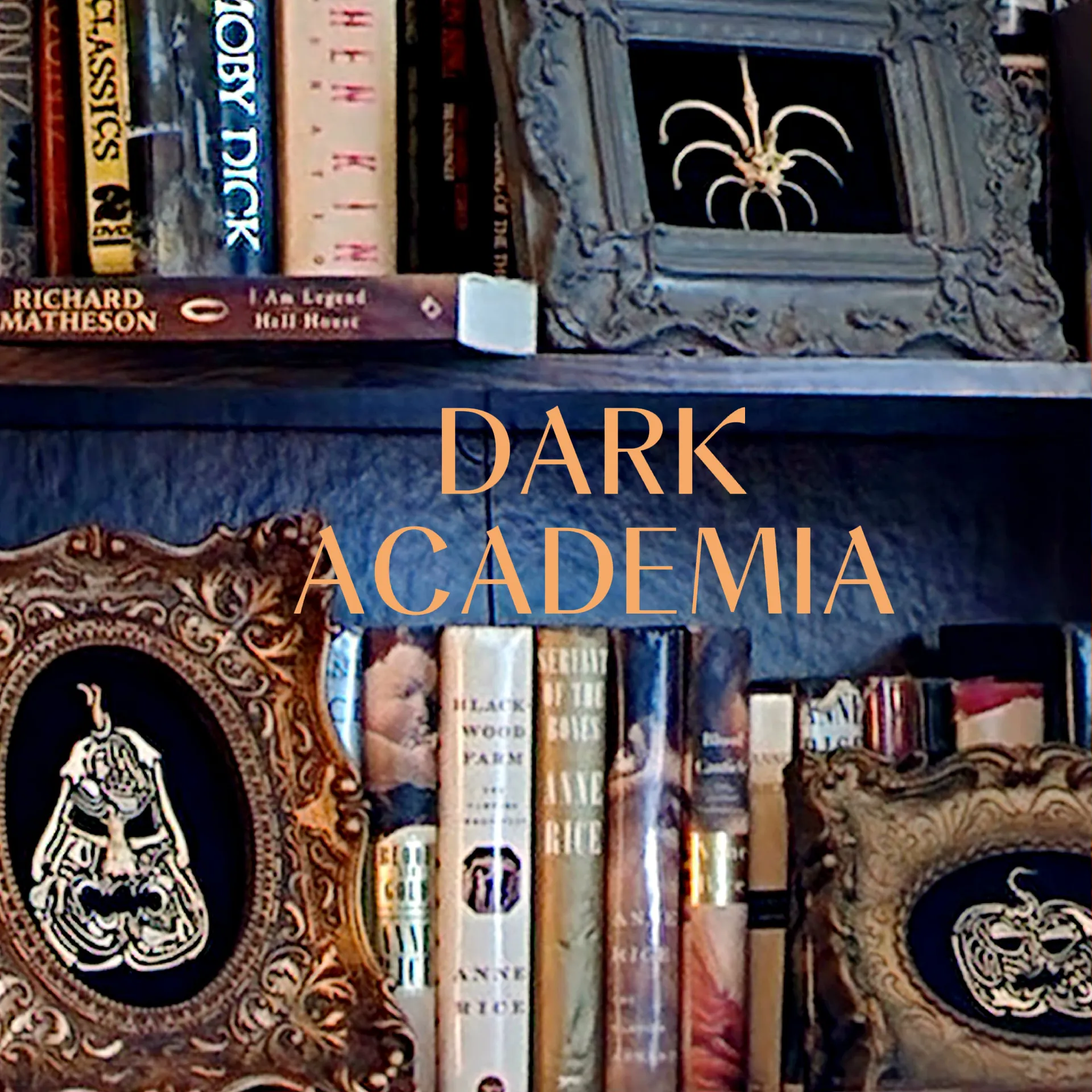 darkacademia #dark #academia  Dark academia room decor, Dark home decor, Dark  academia room ideas