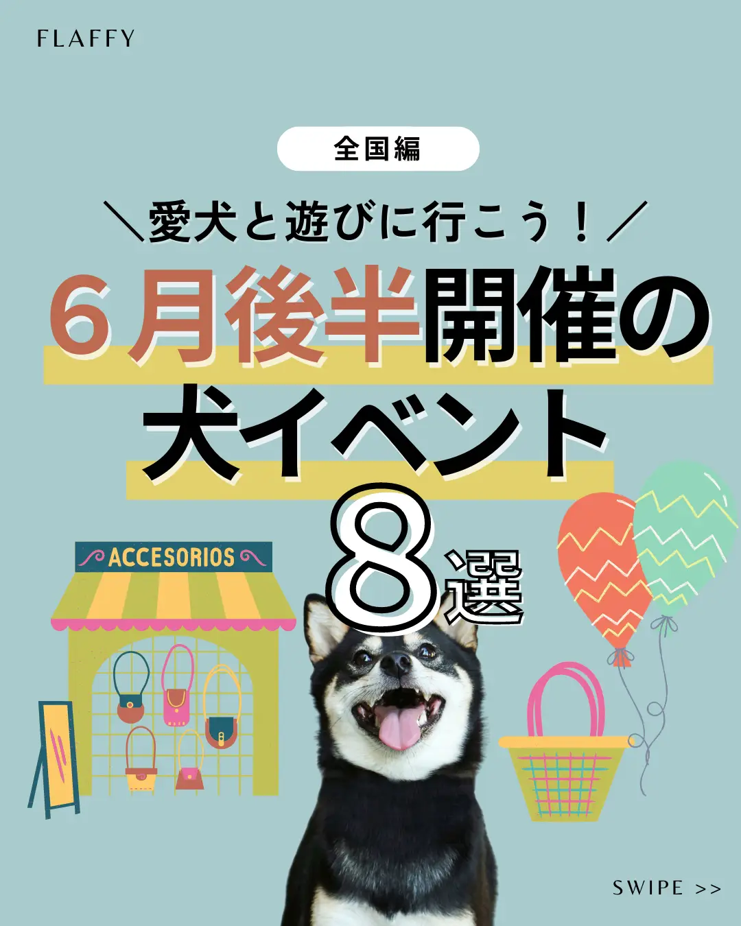 犬のイベント開催8月 - Lemon8検索