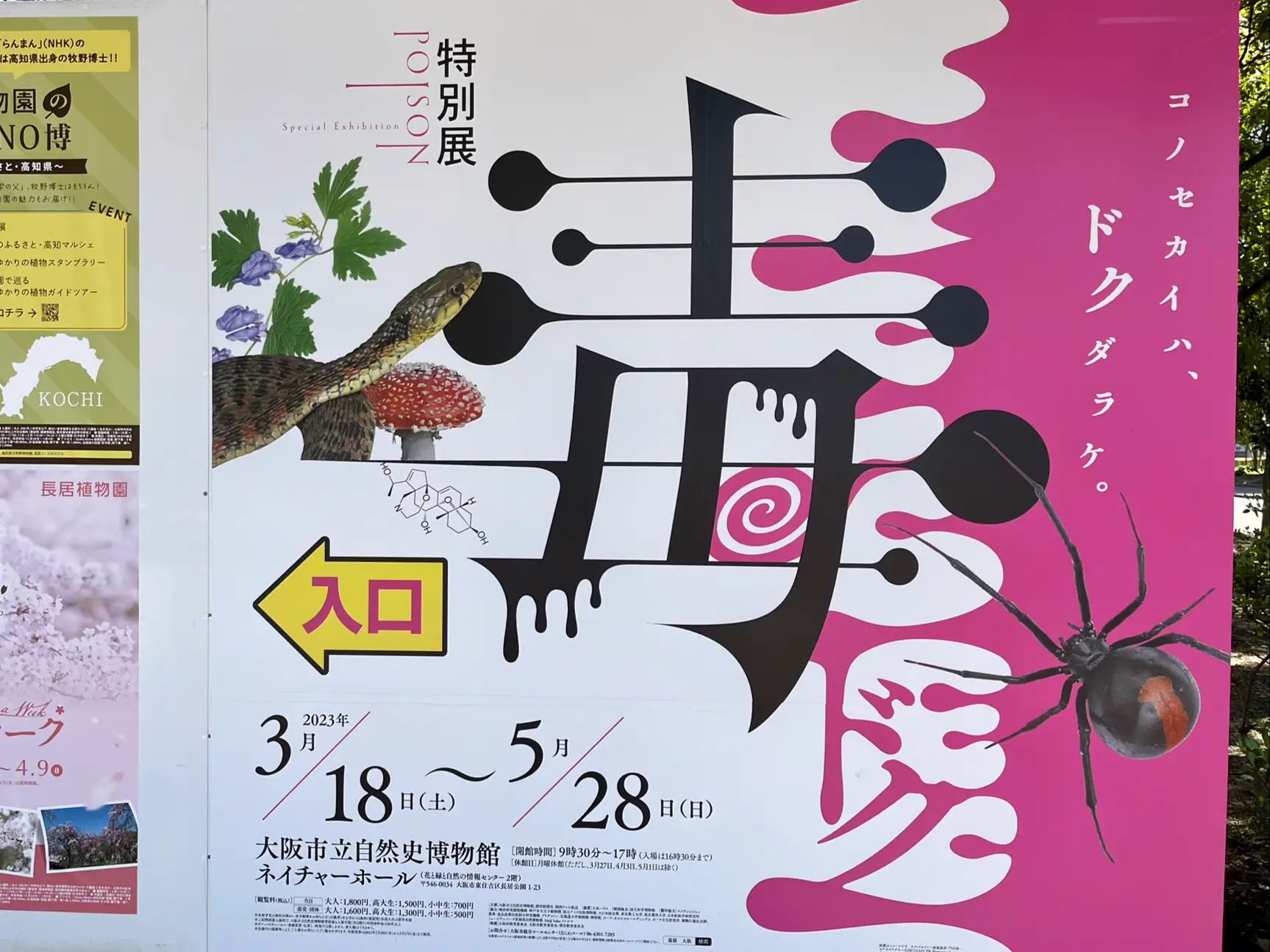 ⚠️閲覧注意⚠️大阪市立自然史博物館の特別展『毒』 | りかちゃん1031が投稿したフォトブック | Lemon8