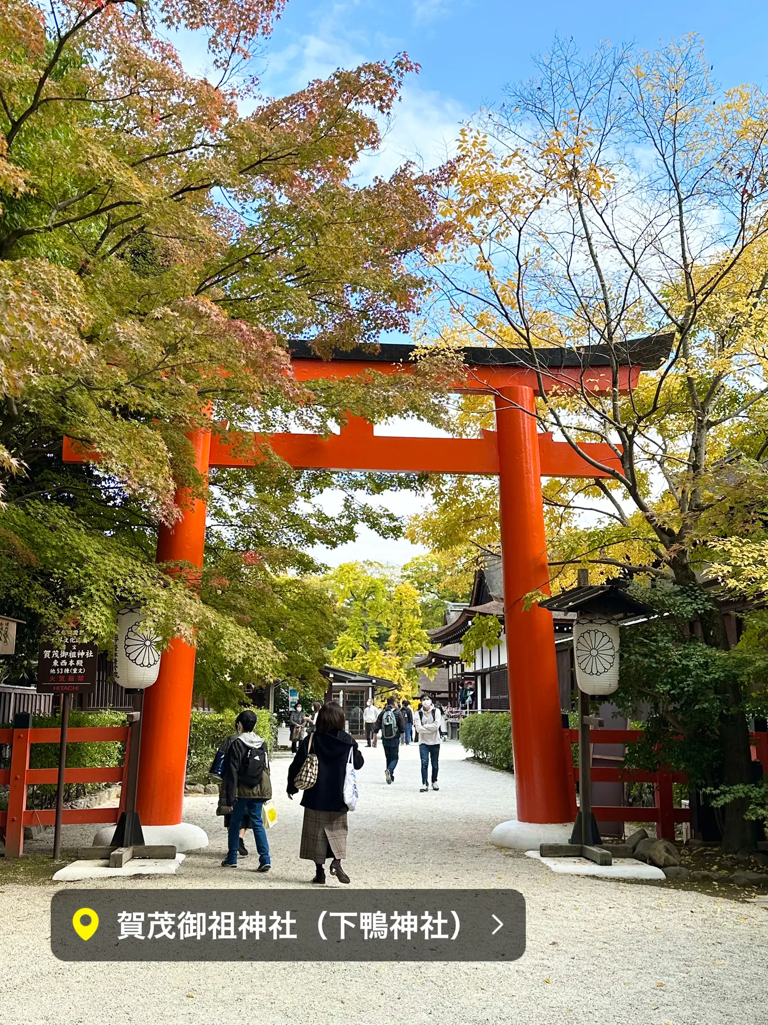 京都府〜女性のパワースポット！世界遺産 下神神社 | りな 和の旅巡りが投稿したフォトブック | Lemon8