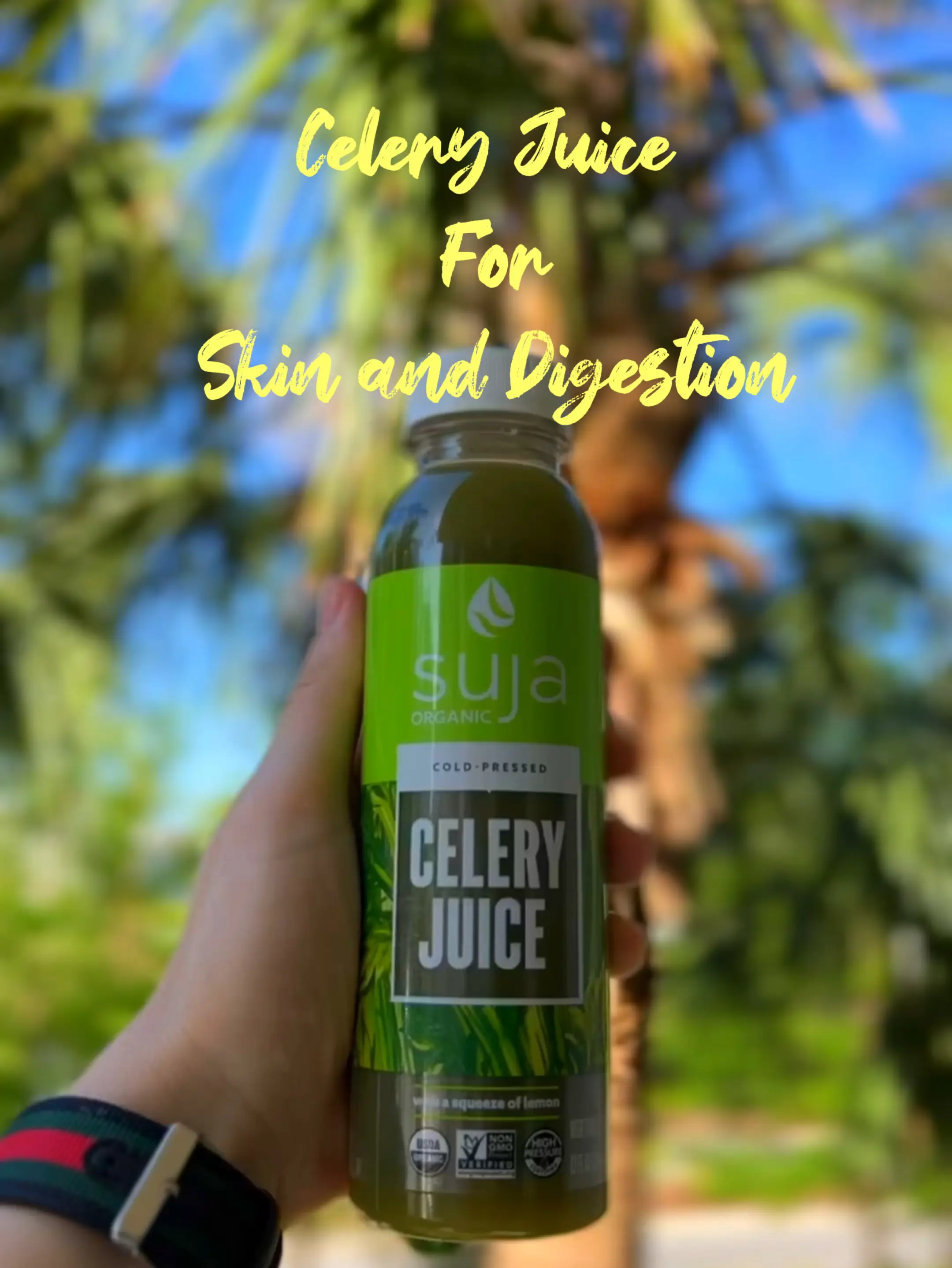 Celery on sale juice digestion