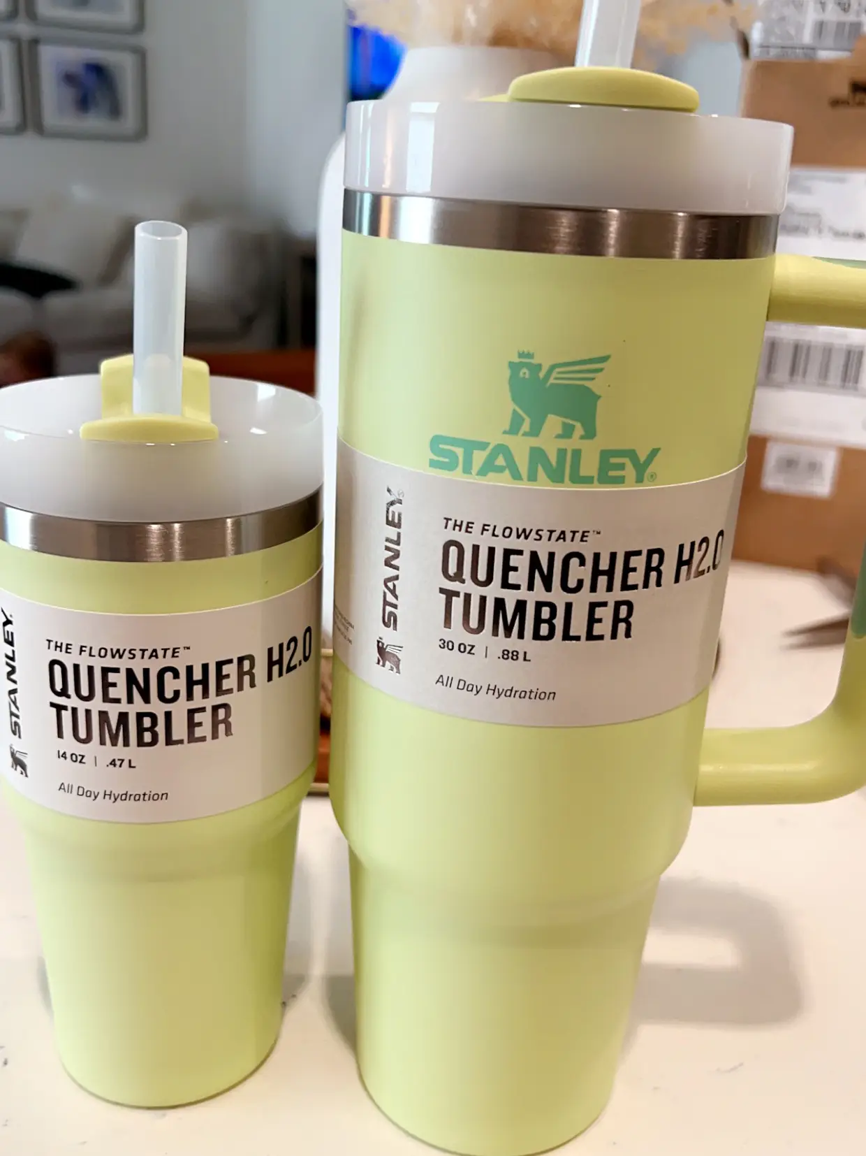 HAD to have them✨ Perfect for mommy and me cups! #stanley #target