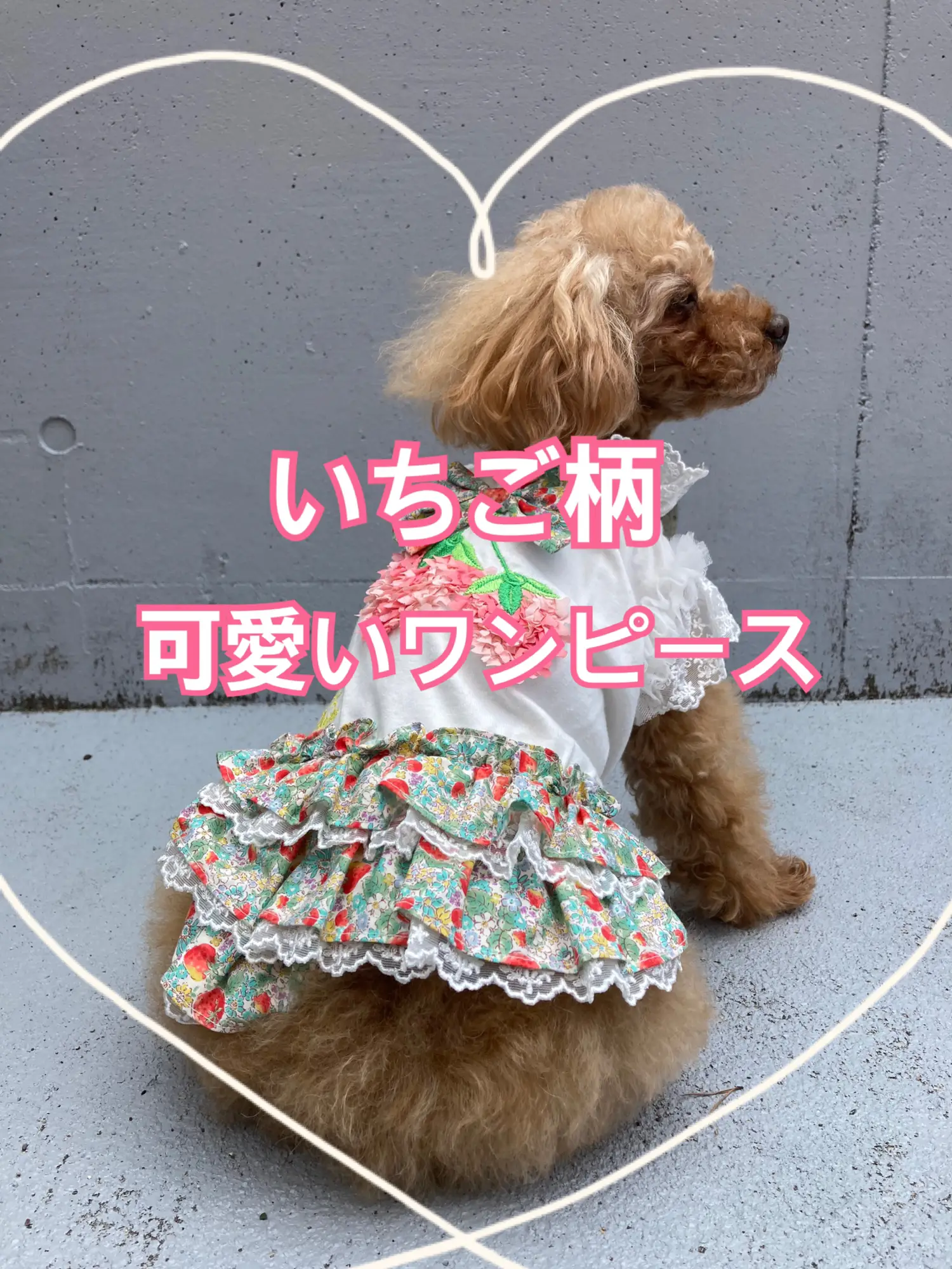 いちごのワンピース🐶 | ジャングルペット/犬服専門店が投稿したフォト