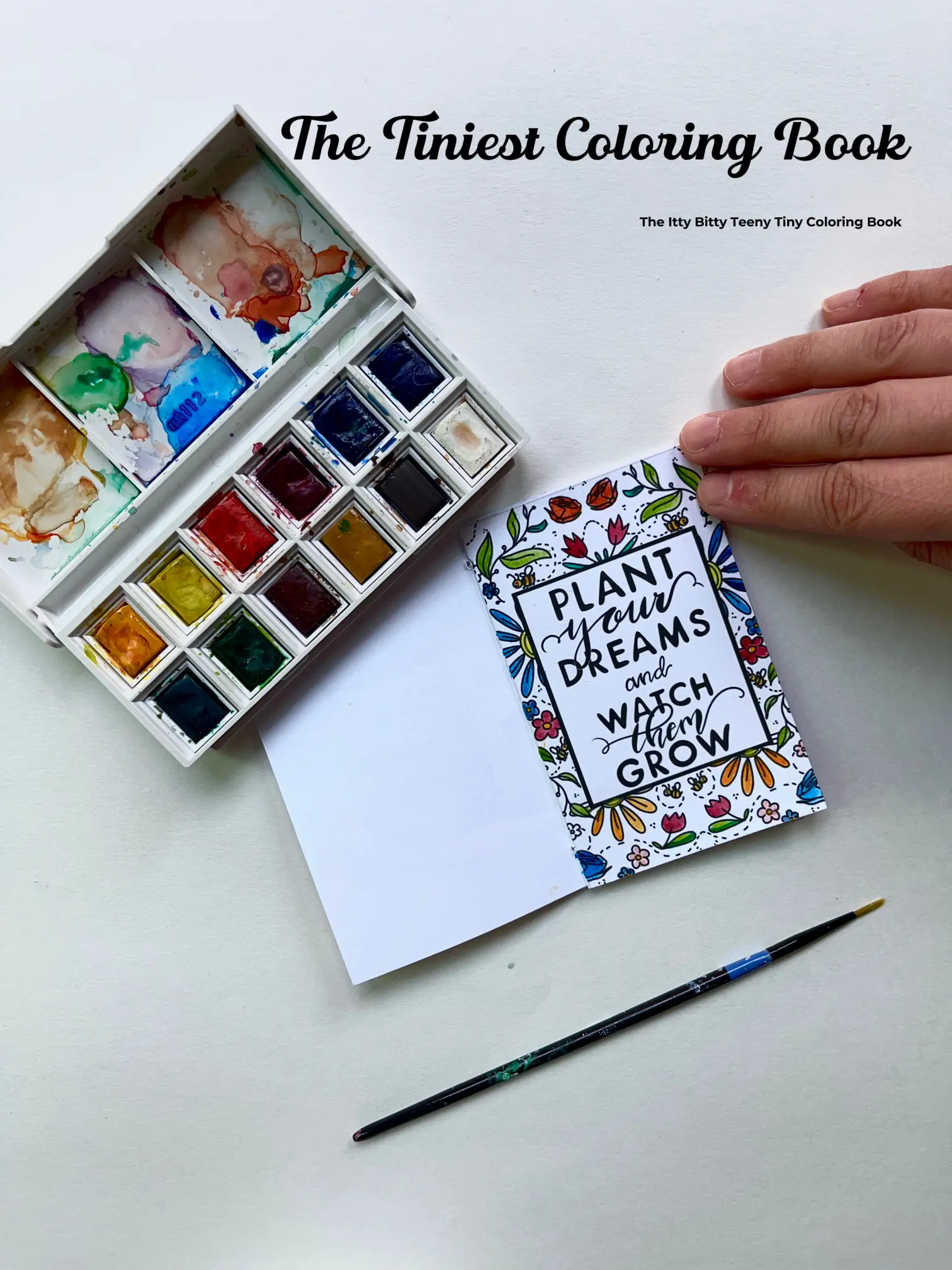 In My Dream Watercolor Coloring Book