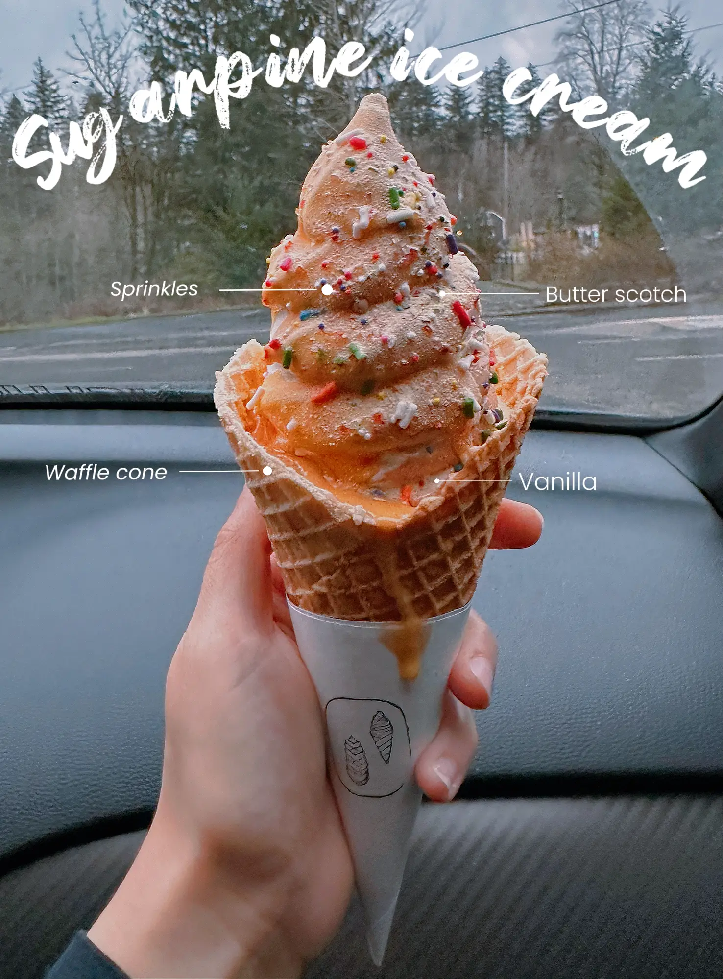 🌲🍦Sugarpine Ice cream 🍦🌲 | Gallery posted by Adriana | Lemon8