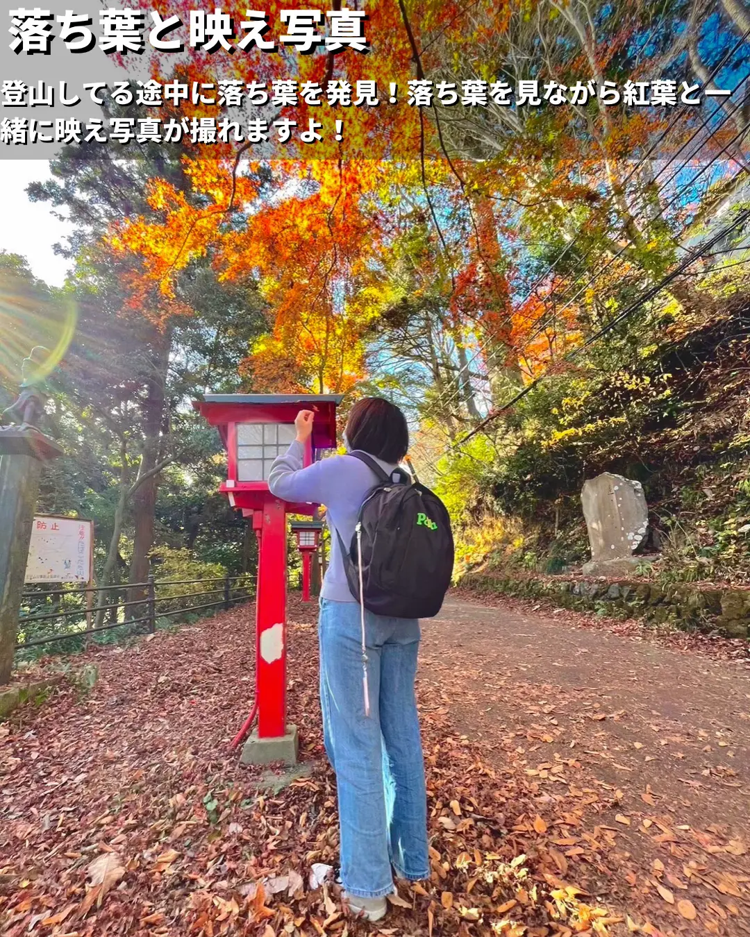 秋の名残を楽しもう！ in 高尾山 | なっちゃんとしょうが投稿した