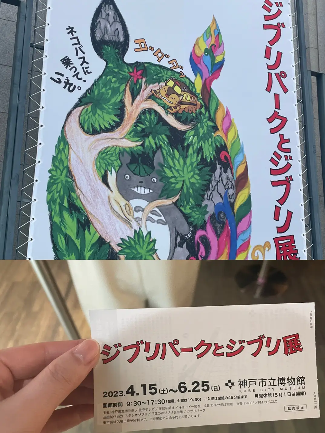 兵庫神戸】ジブリ好き必見！✨ジブリパーク￼に行った人もまだの人も楽しめる💕ジブリパークとジブリ展 | ✤シュシュ✤関西グルメが投稿したフォトブック  | Lemon8