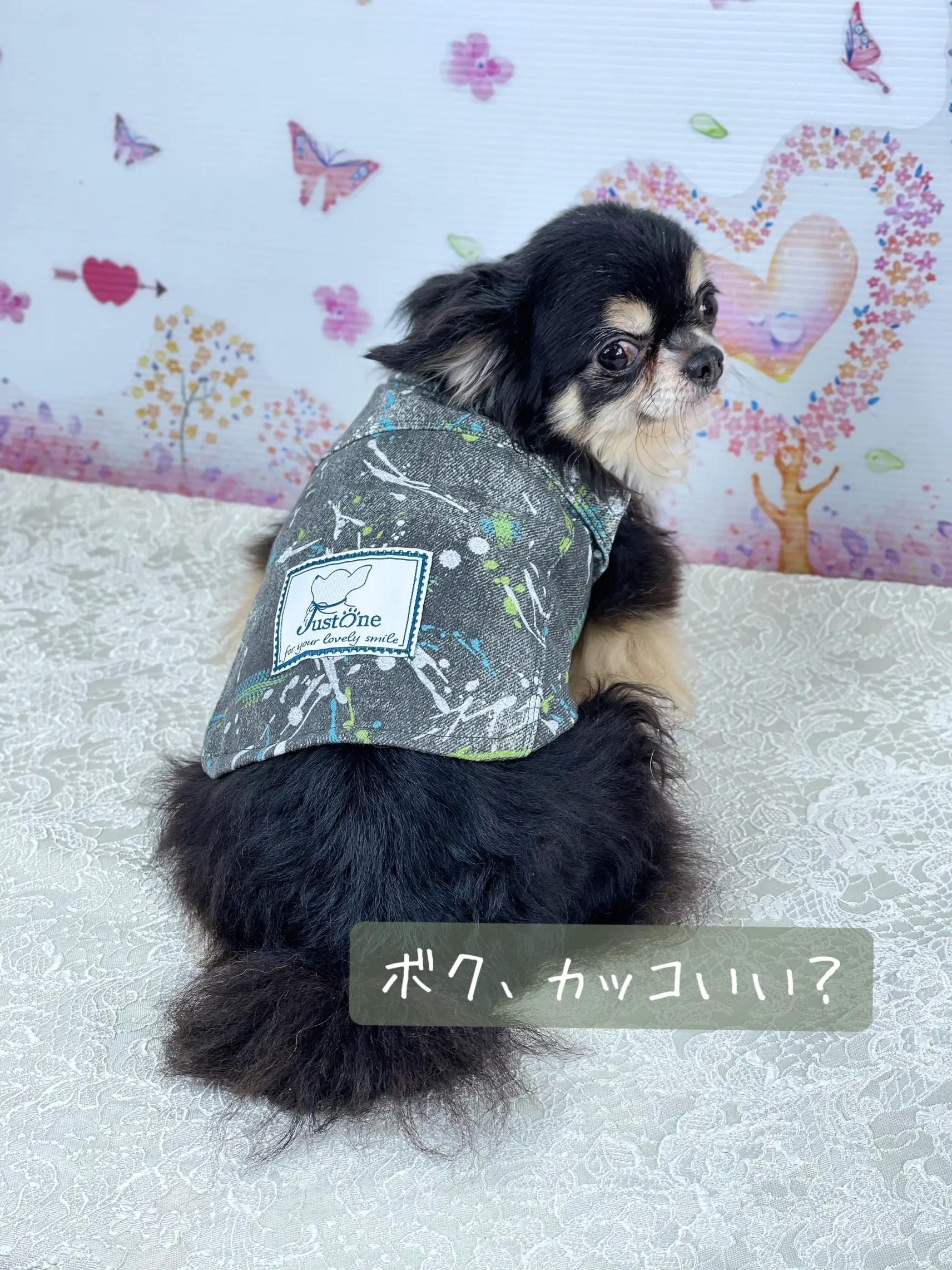 ほちちちゃん♡ ハンドメイド 犬服 犬の服 - 犬用品