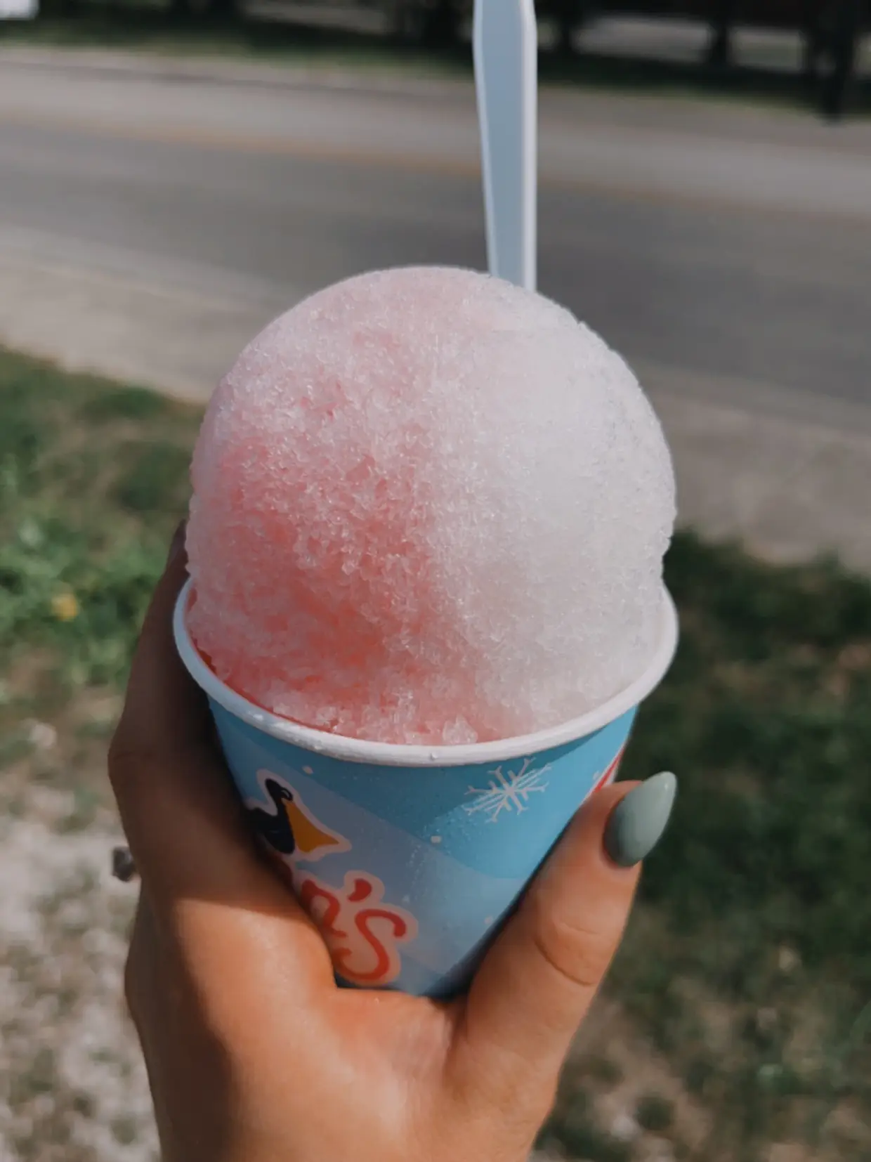 20 top Best Snow Cones in Seaside ideas in 2024