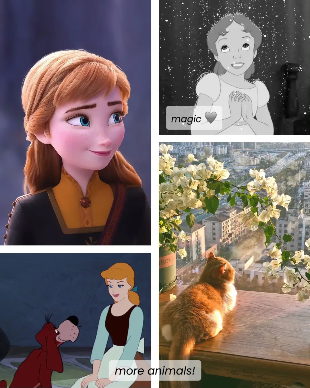 “your Name” Disney Aesthetic Pinterest Search แกลเลอรีที่โพสต์โดย Kelli Godfrey Lemon8 8200