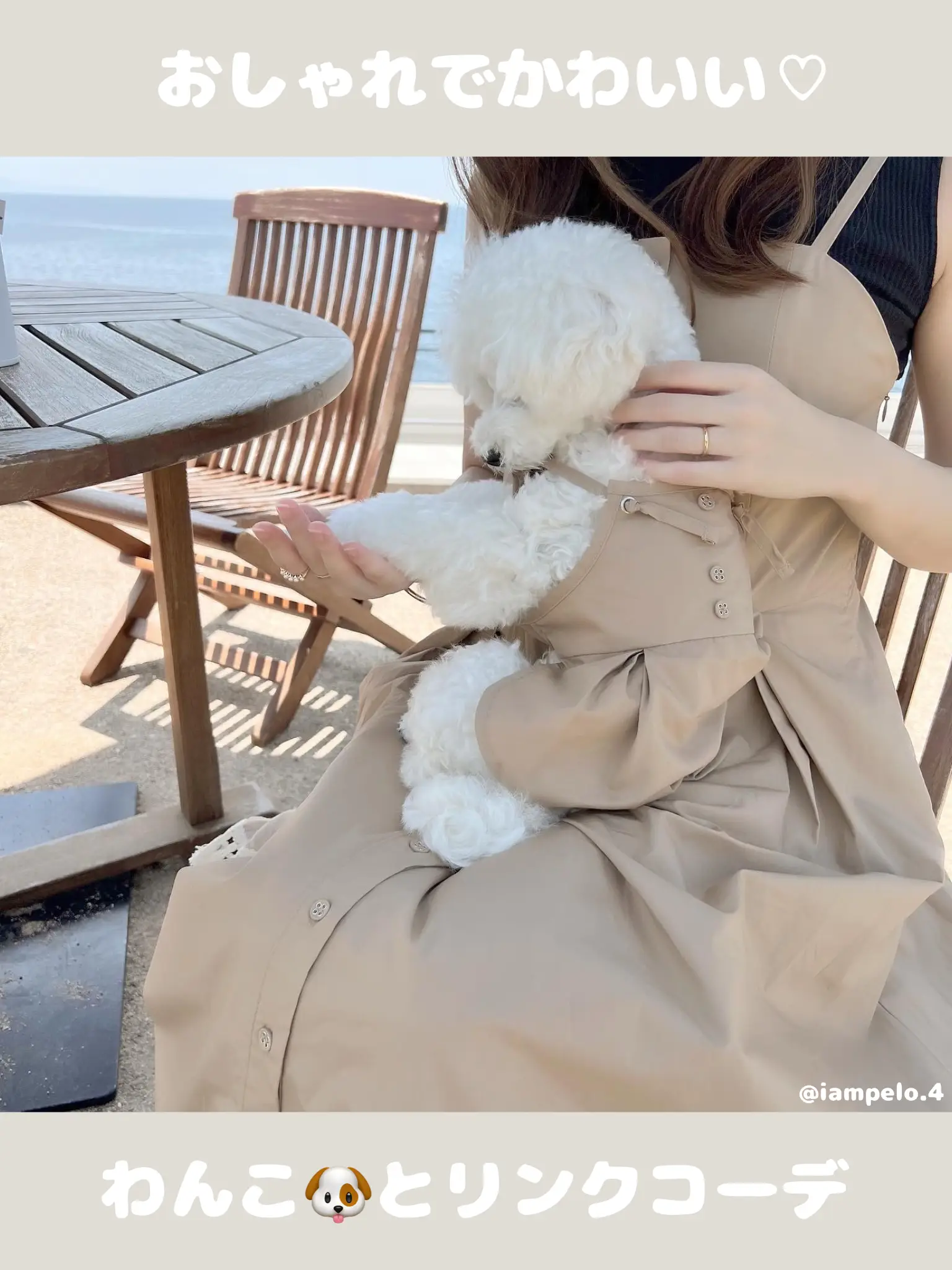犬服 M わんこの普段着　サイケなりんご 犬服 M わんこの普段着 サイケなりんご Pin page