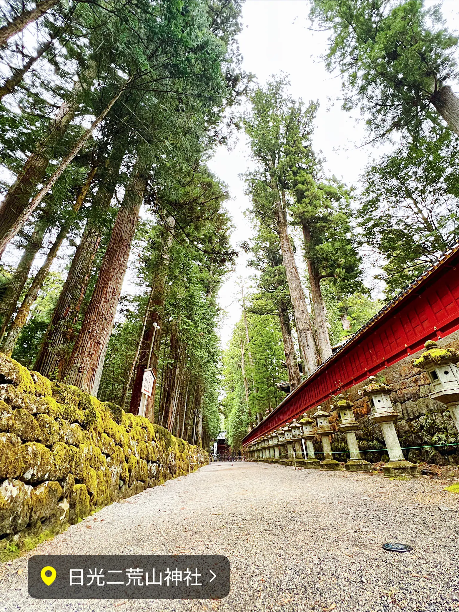 日光】黄金のうさぎが出迎えてくれる強力パワースポット⛩日光二荒山神社✨ | Rin平日旅✈️おでかけ記録が投稿したフォトブック | Lemon8