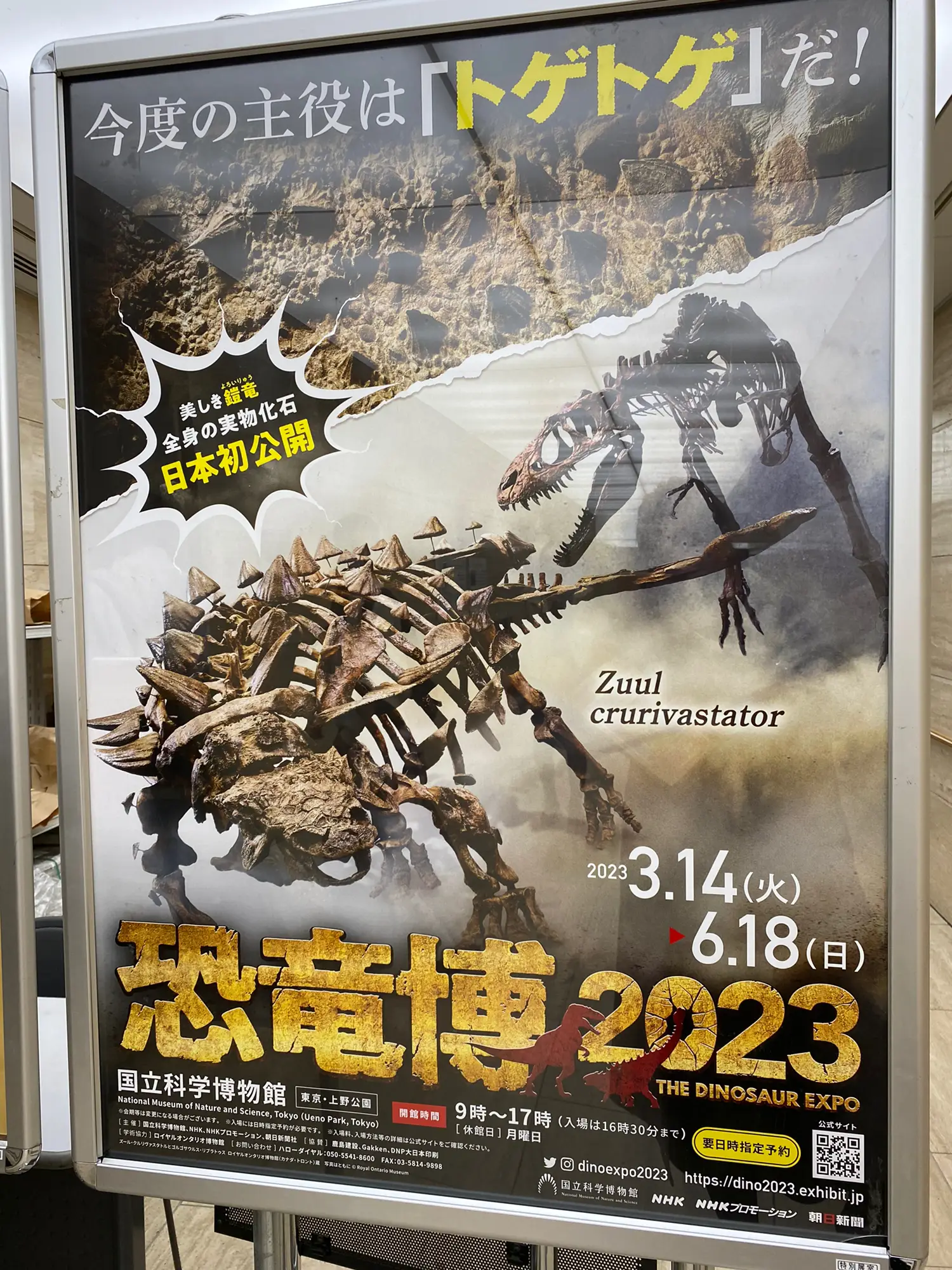 恐竜博🦖2023🦕 | c.a.n.a._Boooonが投稿したフォトブック | Lemon8